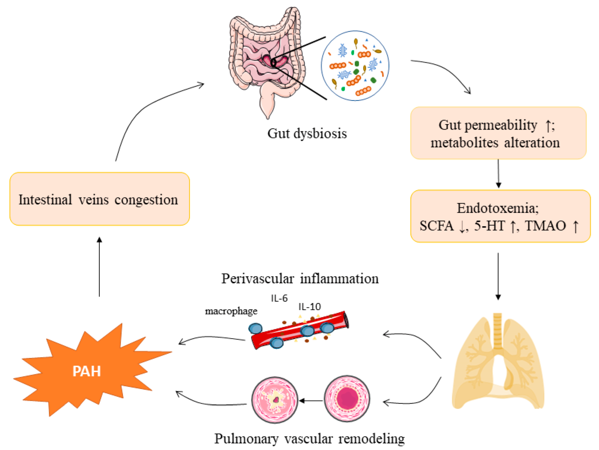 Nutrients 14 04278 g001 Nutrients 14 04278 g001