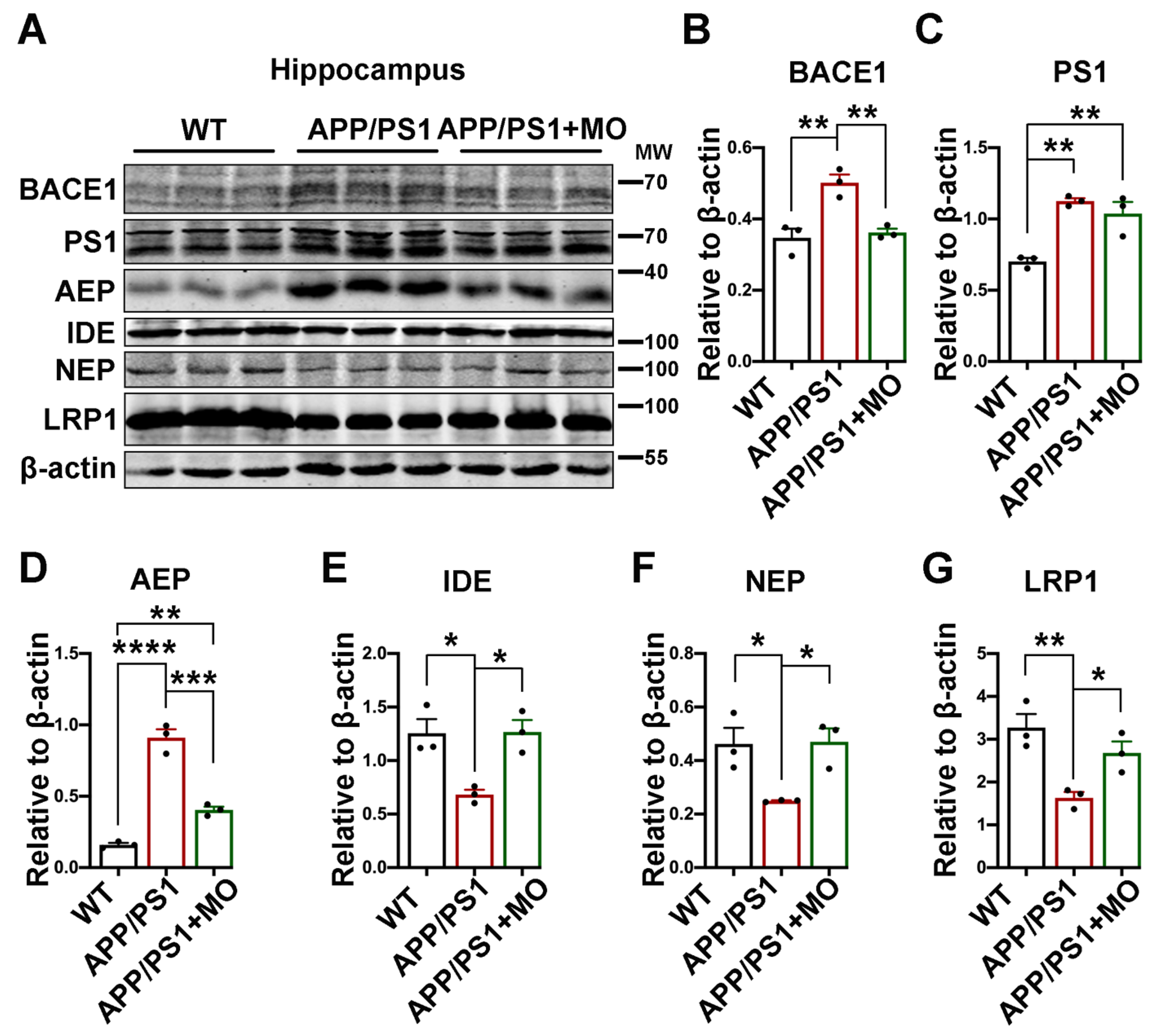 Nutrients 14 04284 g003 Nutrients 14 04284 g003
