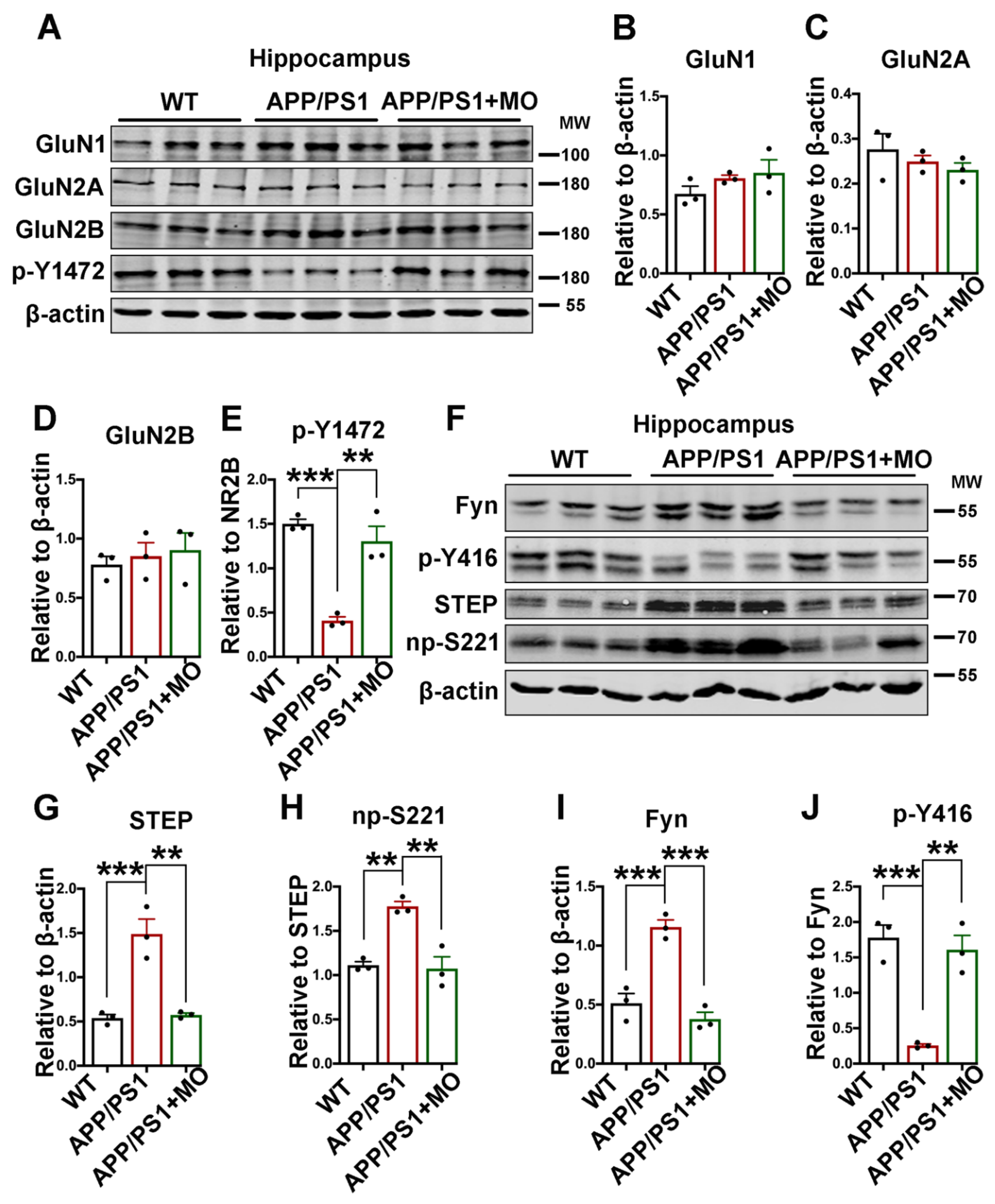 Nutrients 14 04284 g004 Nutrients 14 04284 g004