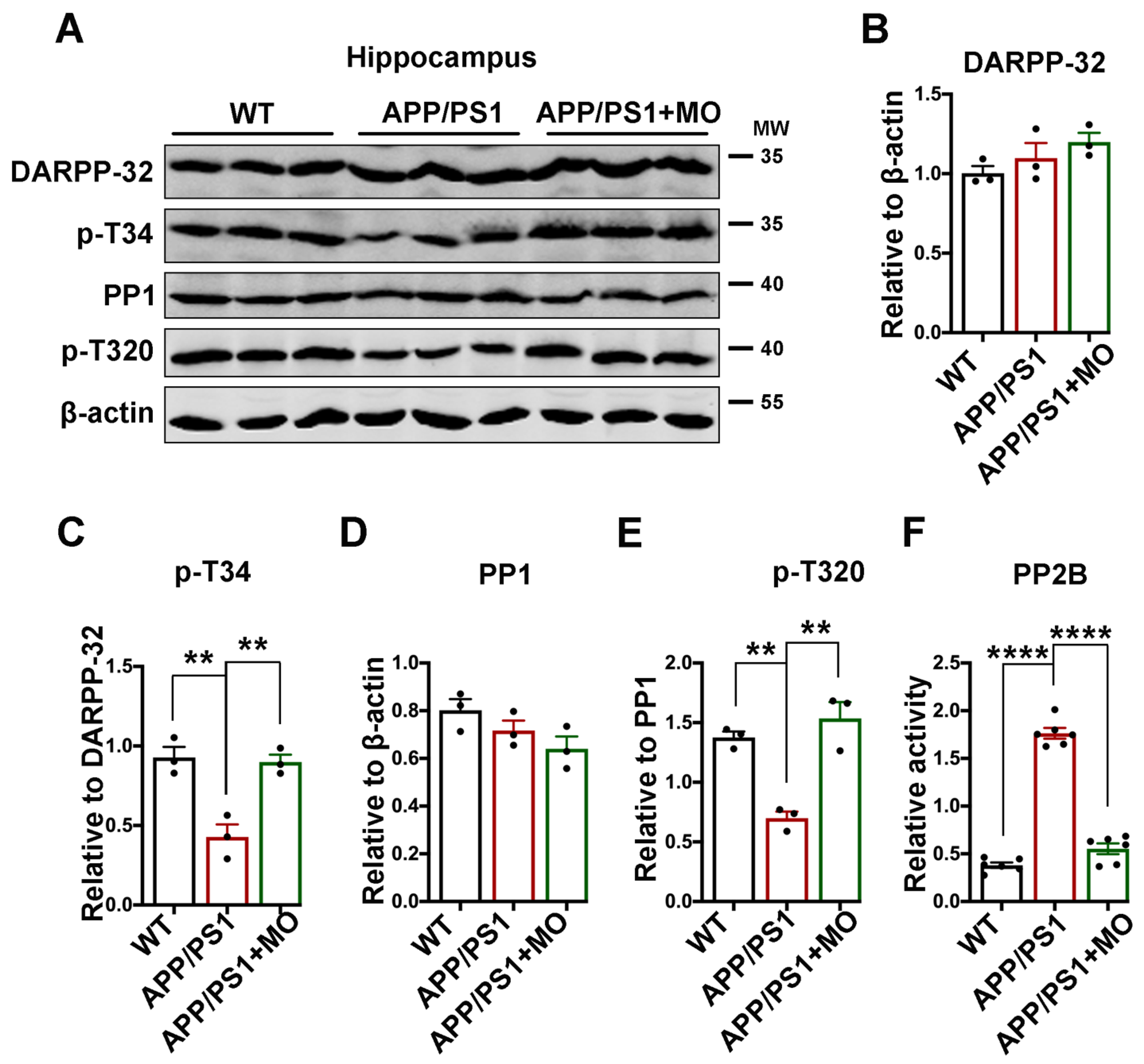 Nutrients 14 04284 g005 Nutrients 14 04284 g005