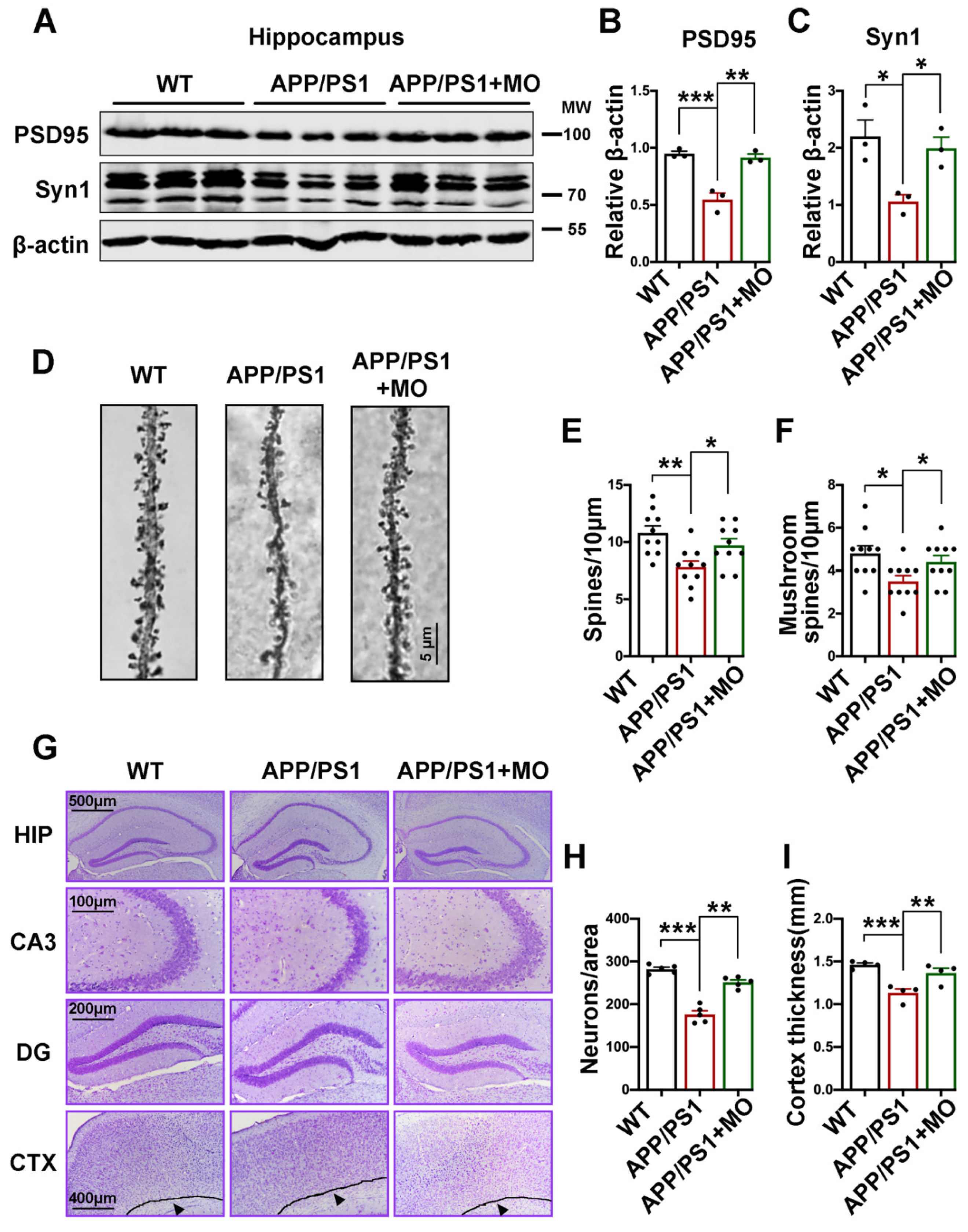 Nutrients 14 04284 g006 Nutrients 14 04284 g006