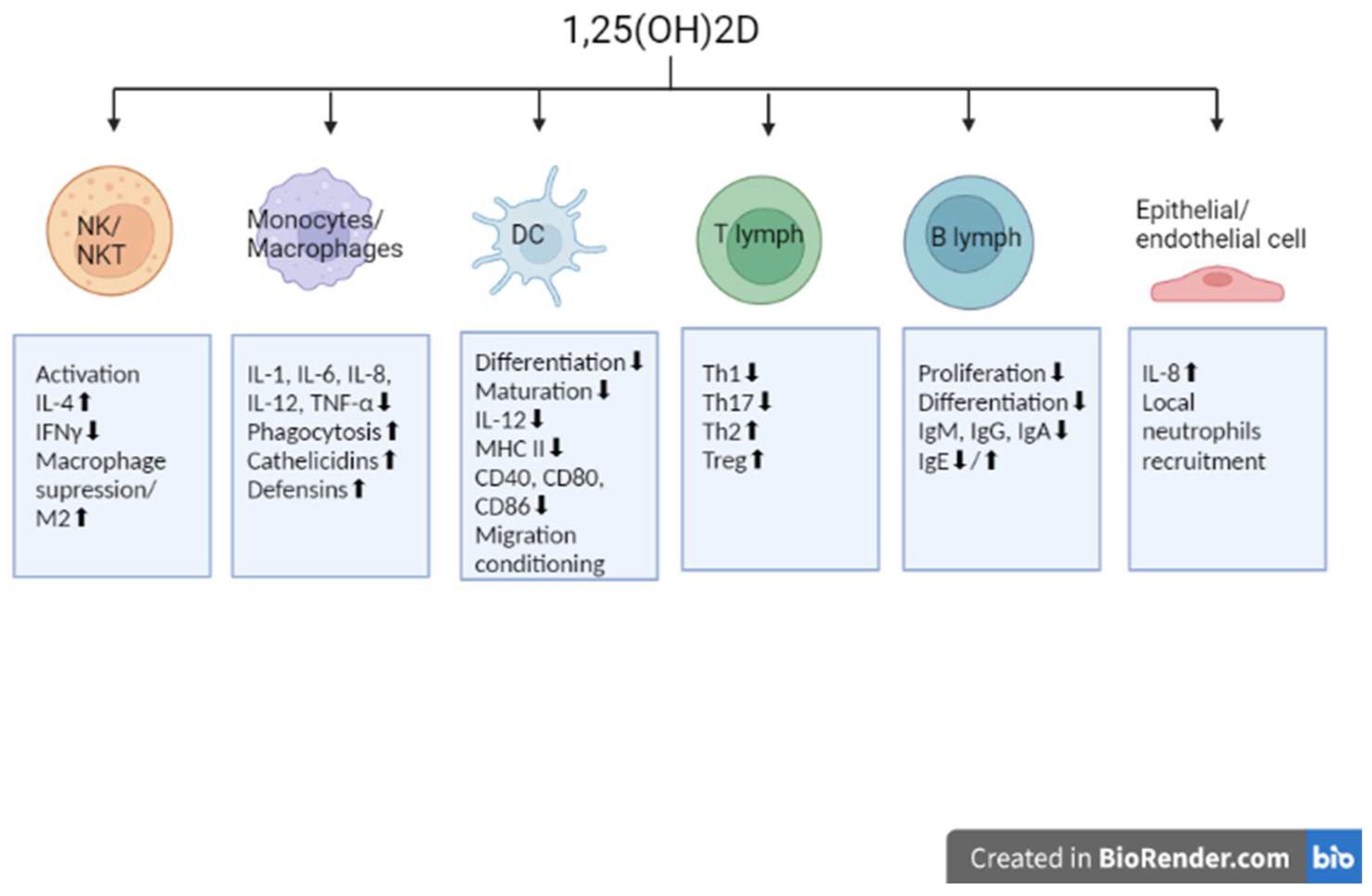 Nutrients Free FullText Vitamin D as a Factor in