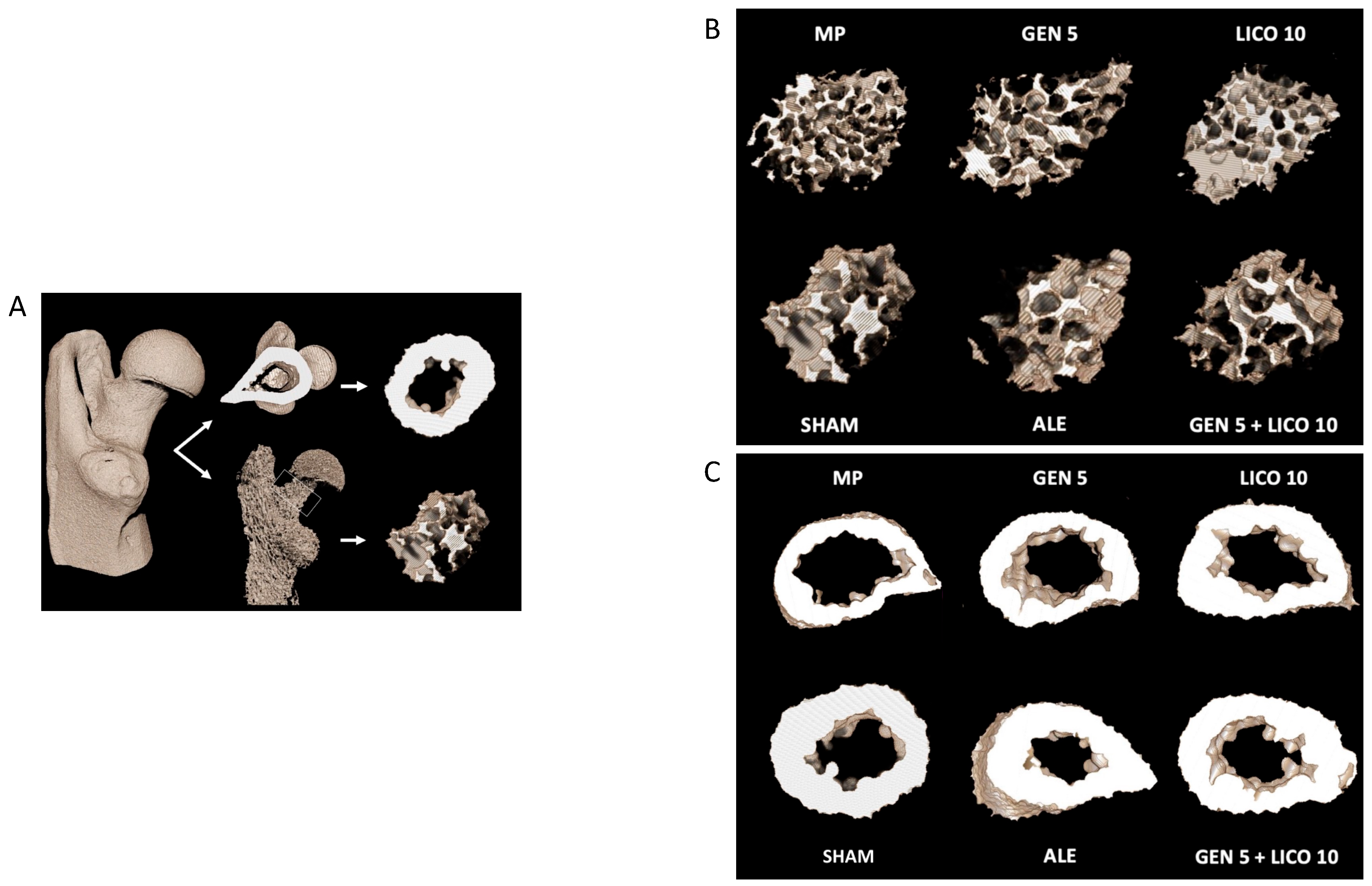 Nutrients 14 04296 g003