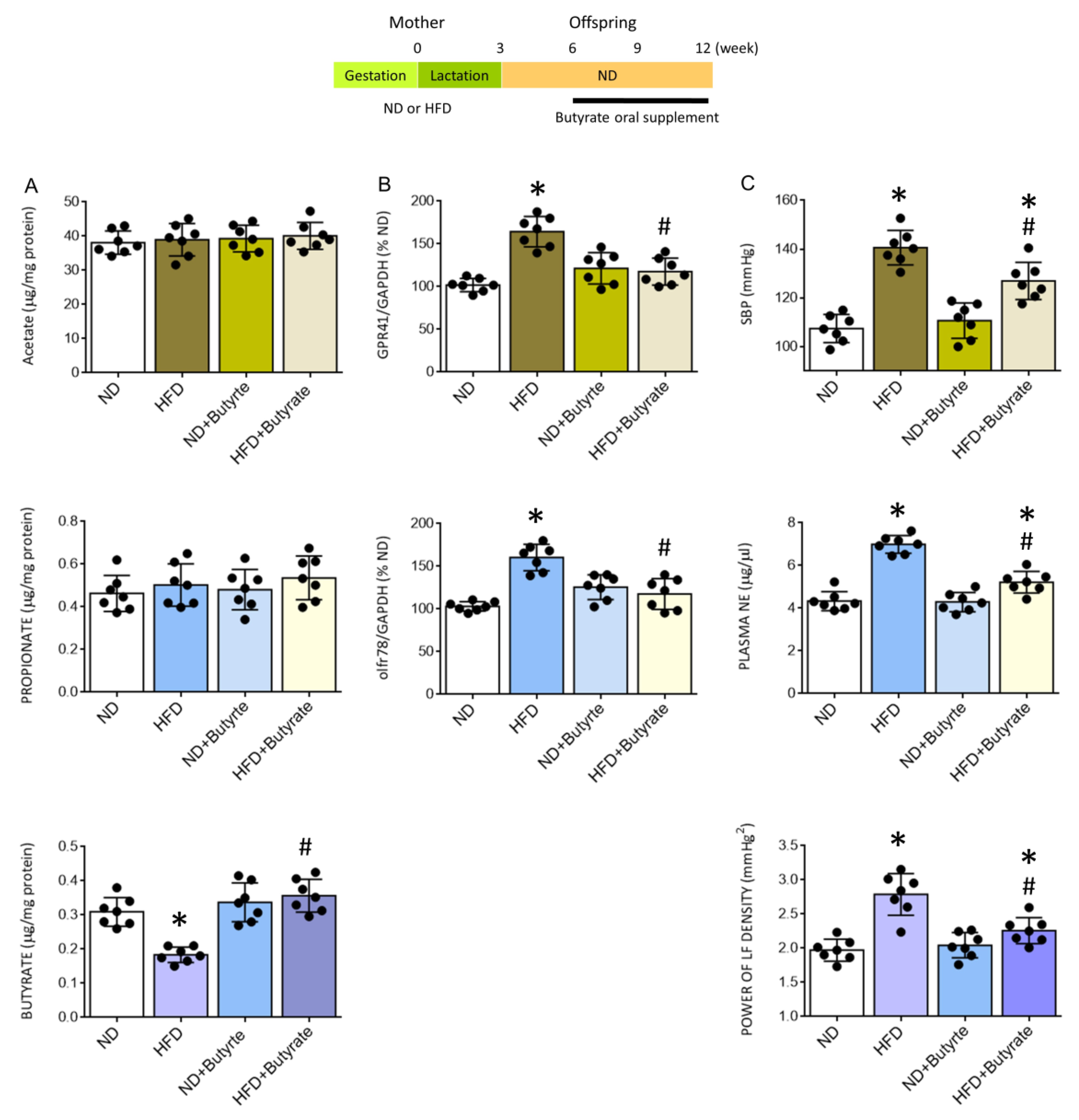 Nutrients 14 04306 g008 Nutrients 14 04306 g008