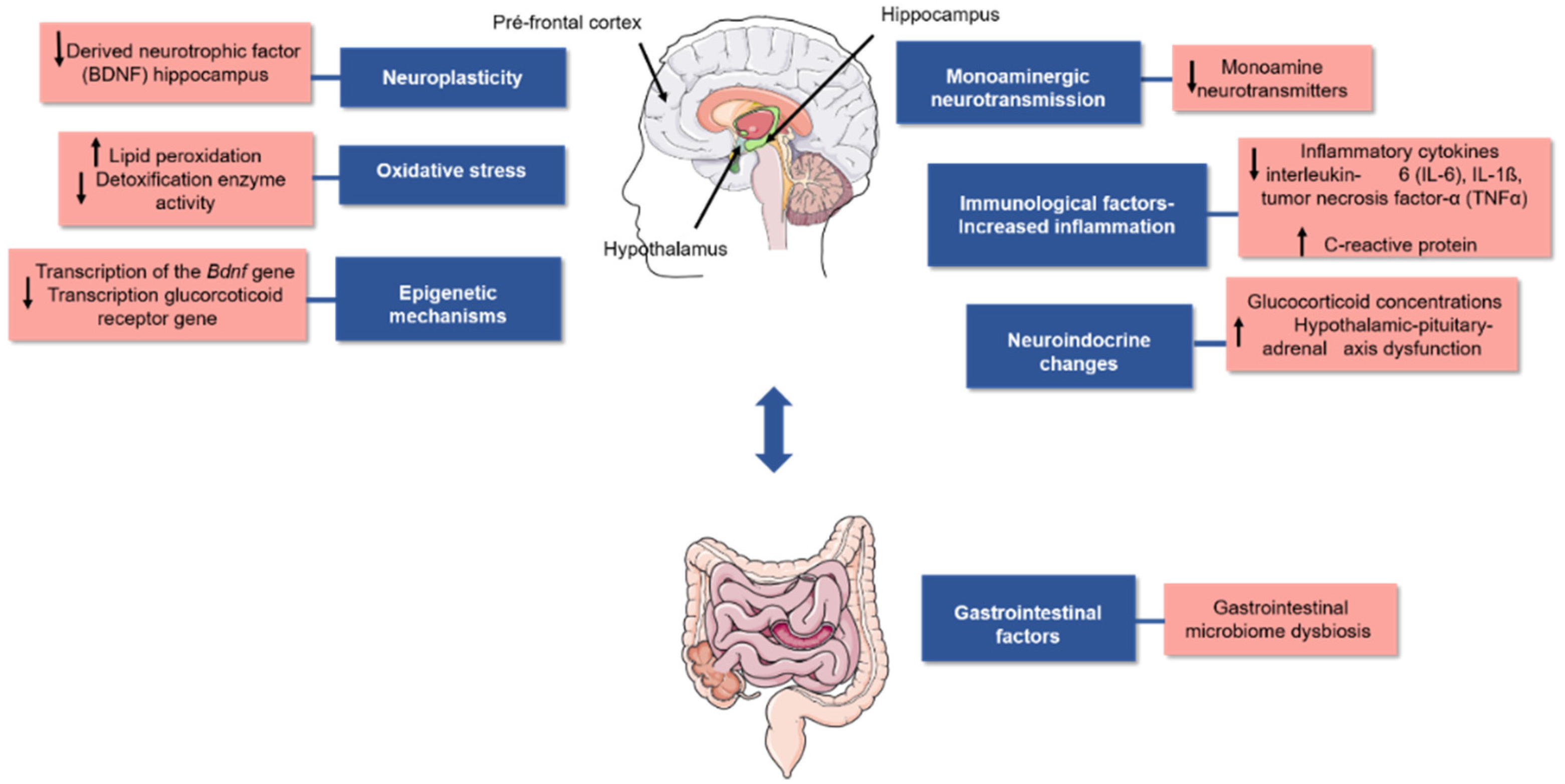 Nutrients 14 04309 g001 Nutrients 14 04309 g001