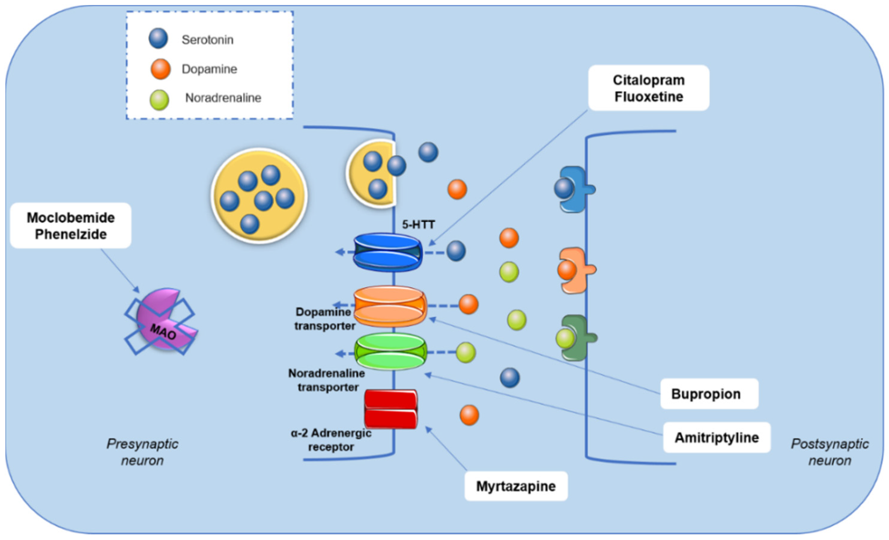 Nutrients 14 04309 g002 Nutrients 14 04309 g002