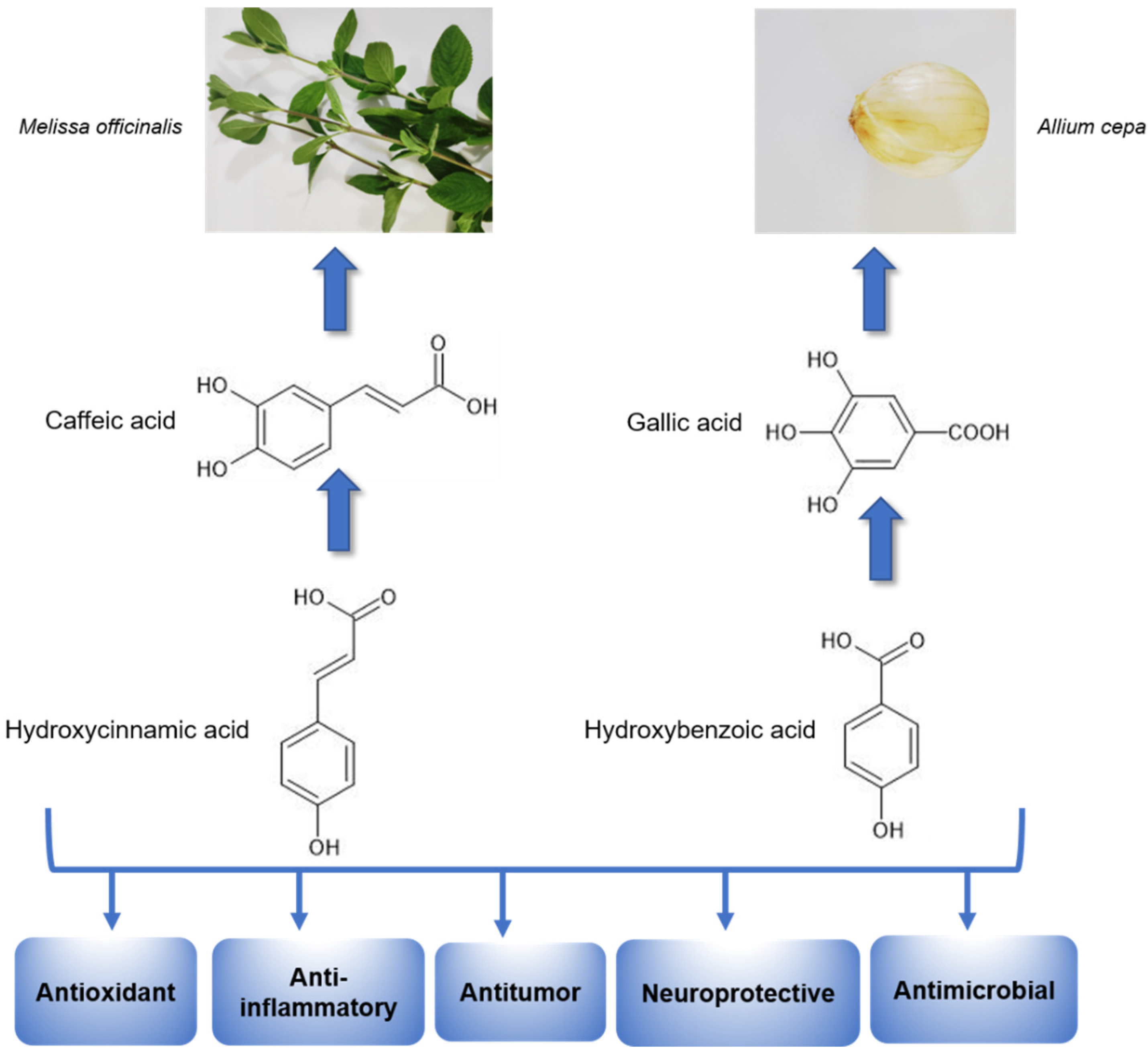 Nutrients 14 04309 g003 Nutrients 14 04309 g003