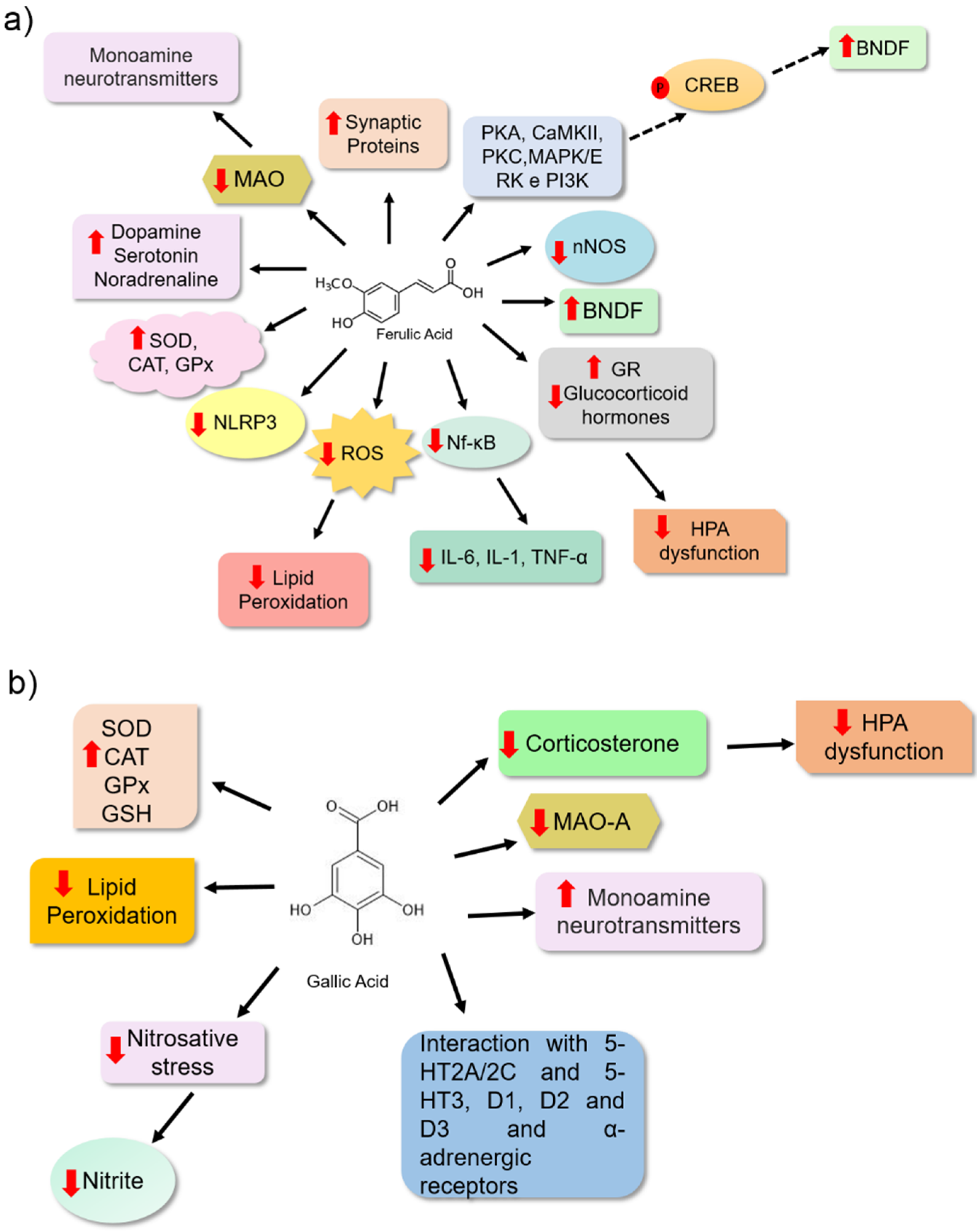 Nutrients 14 04309 g004 Nutrients 14 04309 g004