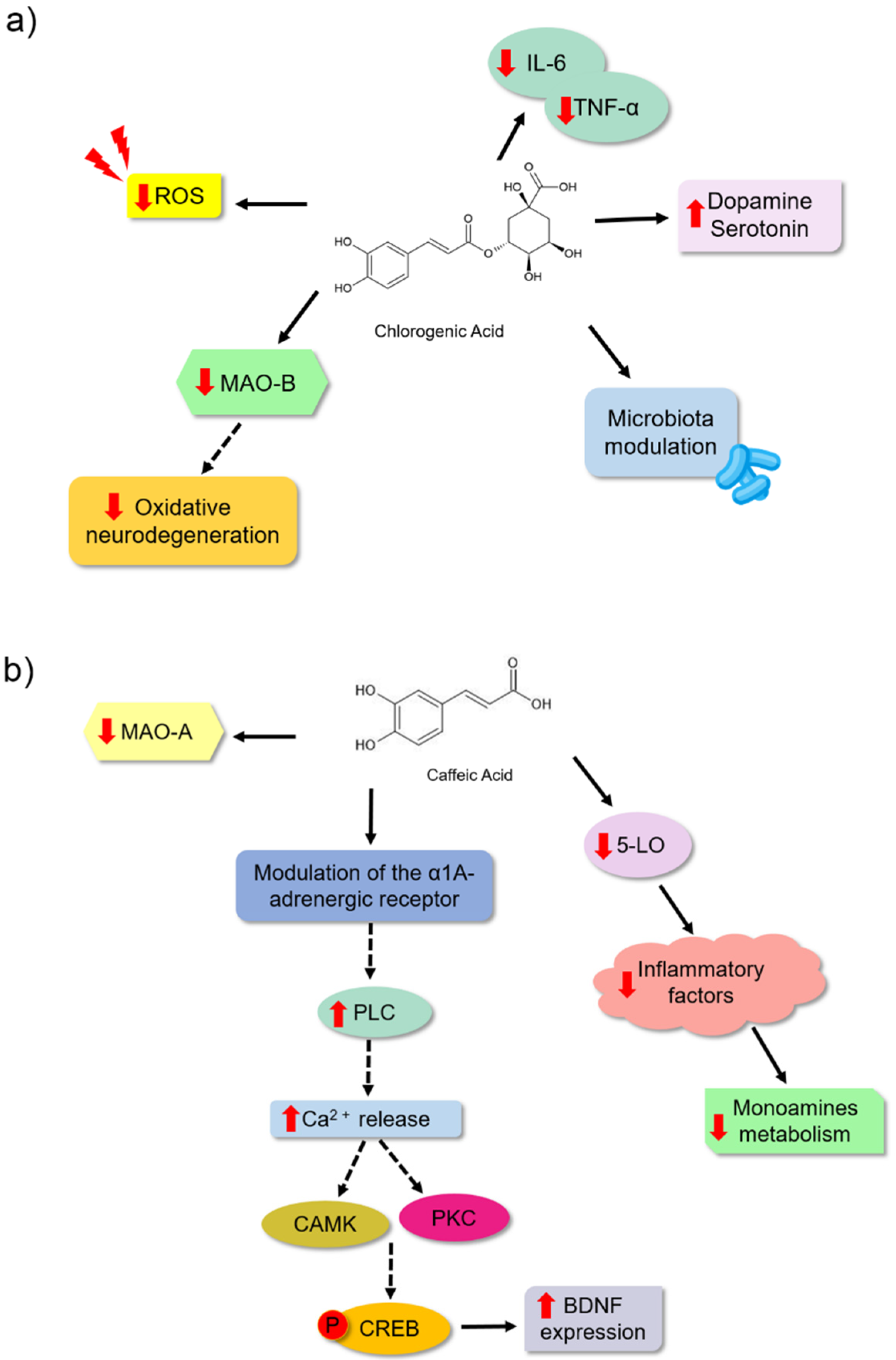 Nutrients 14 04309 g005 Nutrients 14 04309 g005