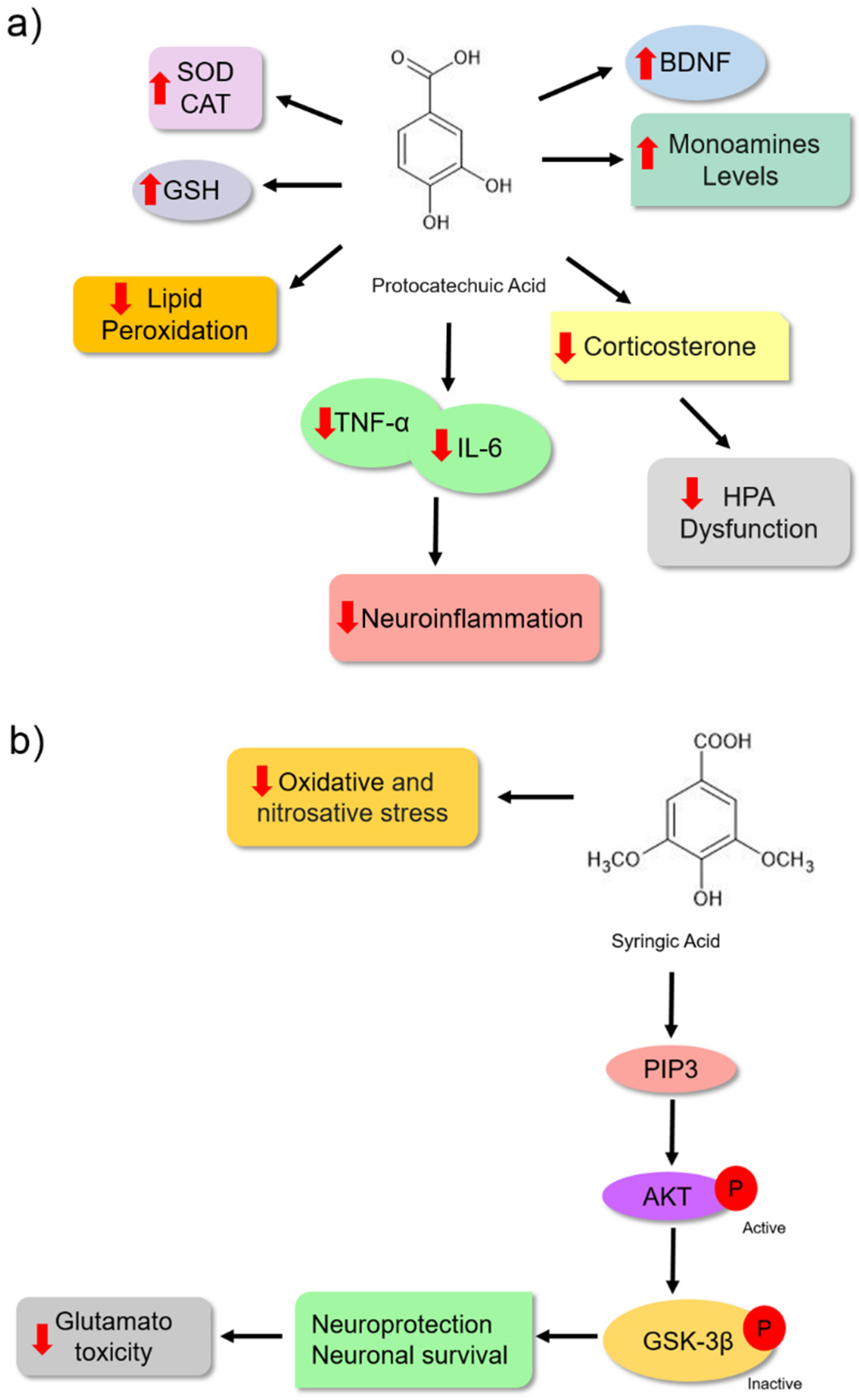Nutrients 14 04309 g006 Nutrients 14 04309 g006