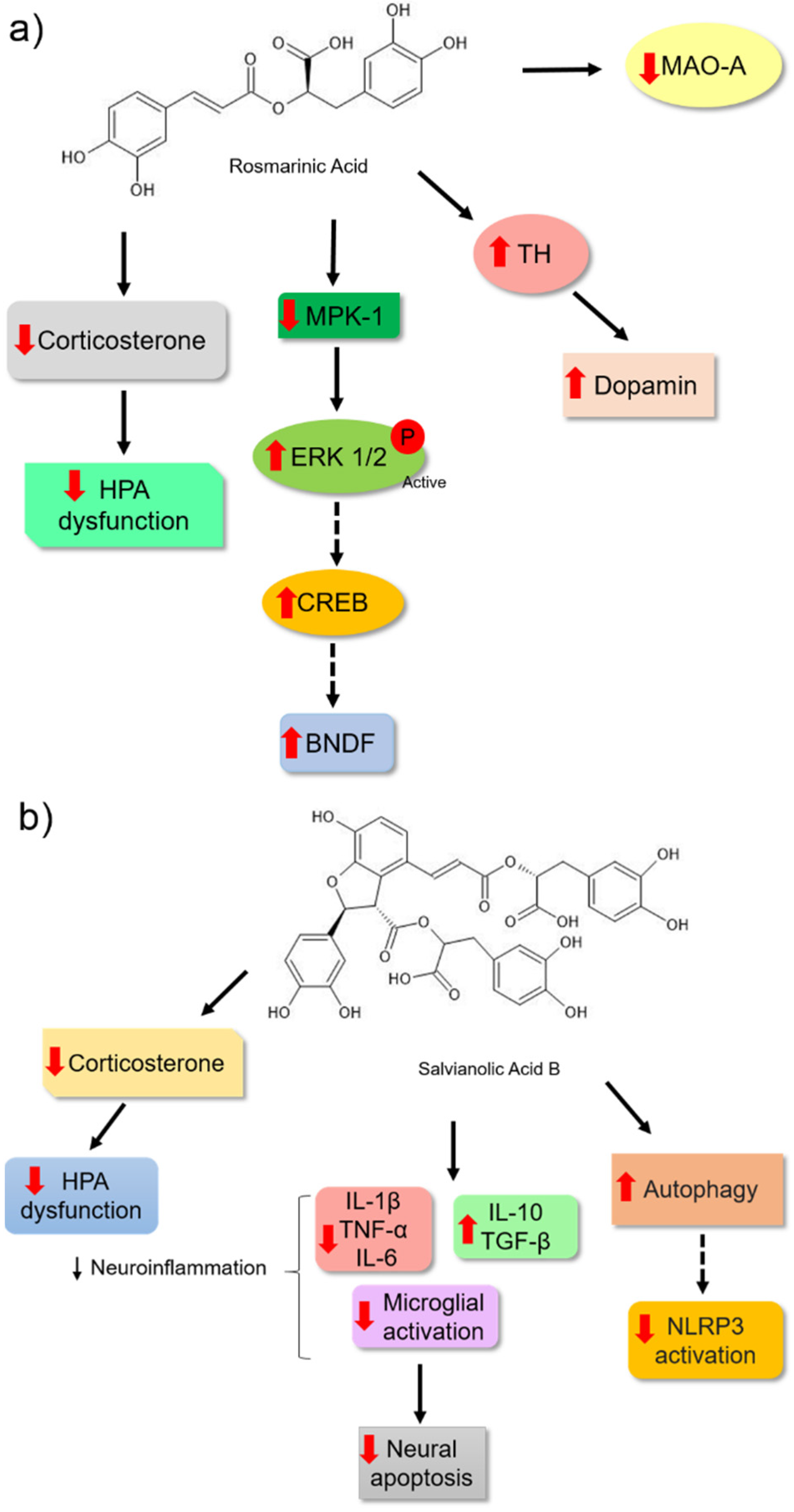 Nutrients 14 04309 g007 Nutrients 14 04309 g007