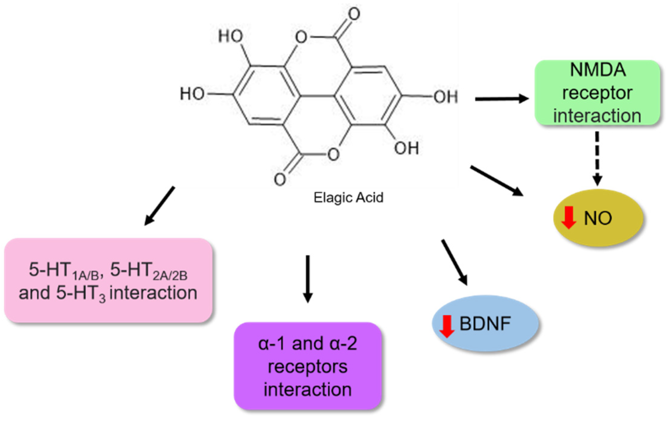 Nutrients 14 04309 g008 Nutrients 14 04309 g008