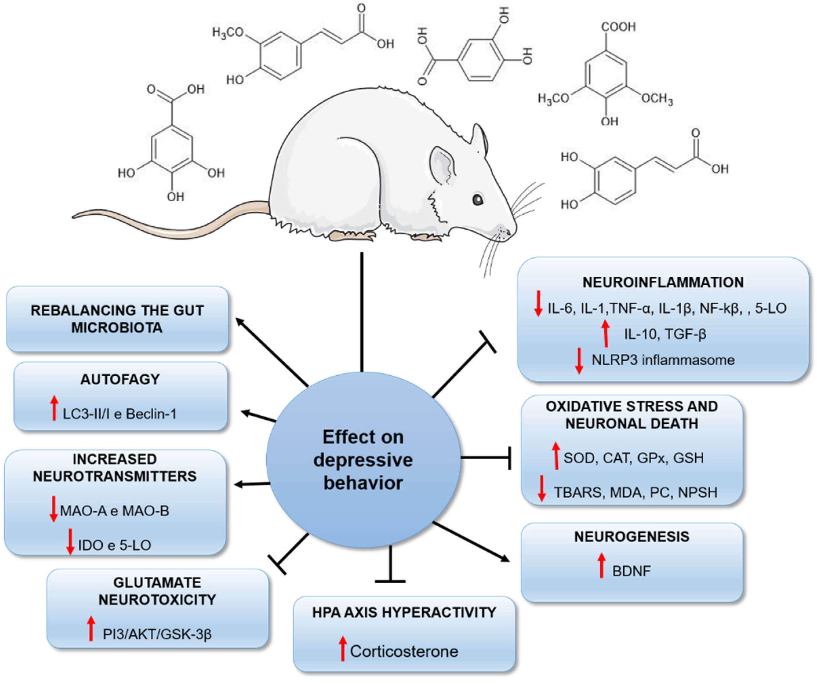 Nutrients 14 04309 g009 Nutrients 14 04309 g009