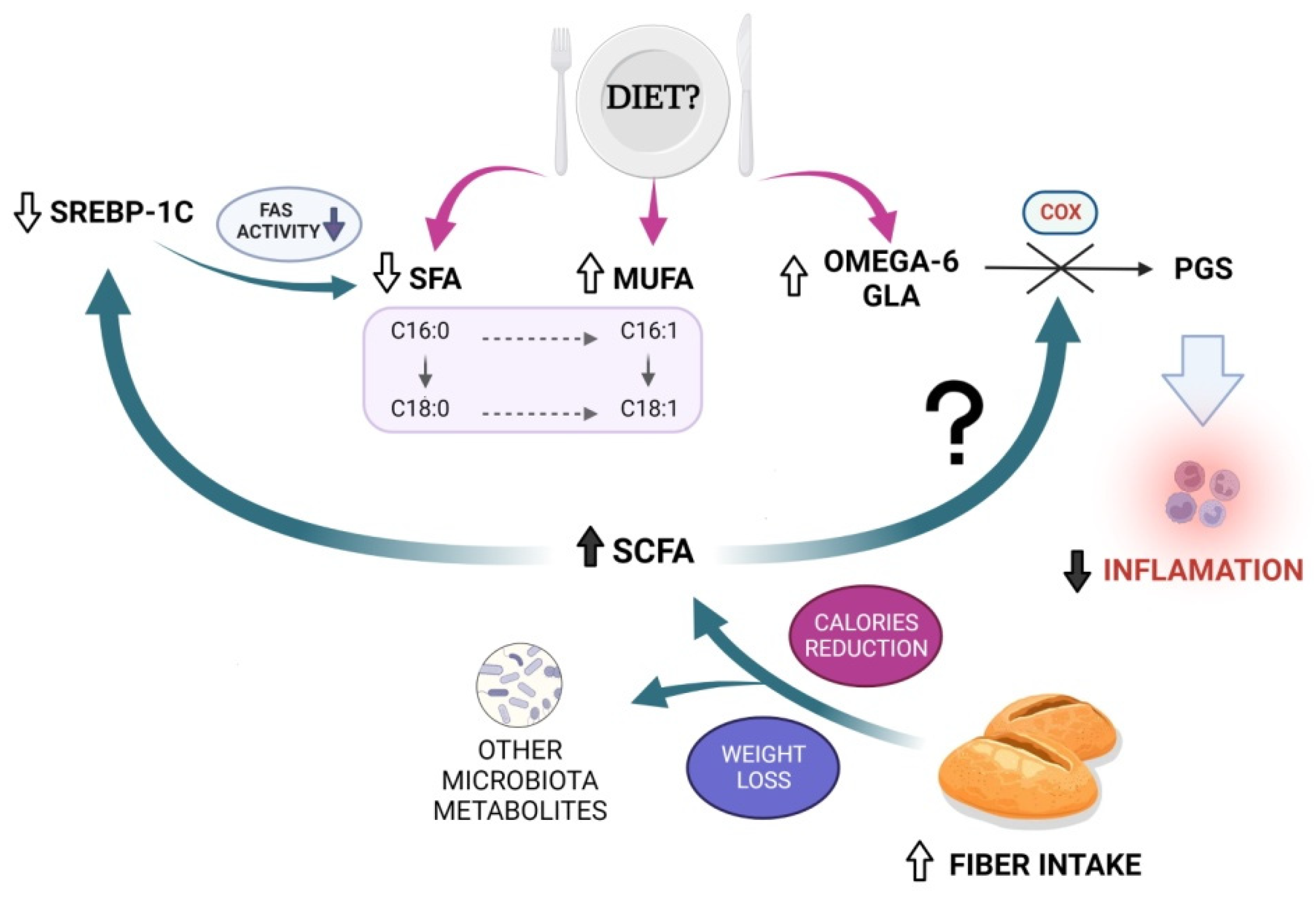 Nutrients 14 04310 g001 Nutrients 14 04310 g001