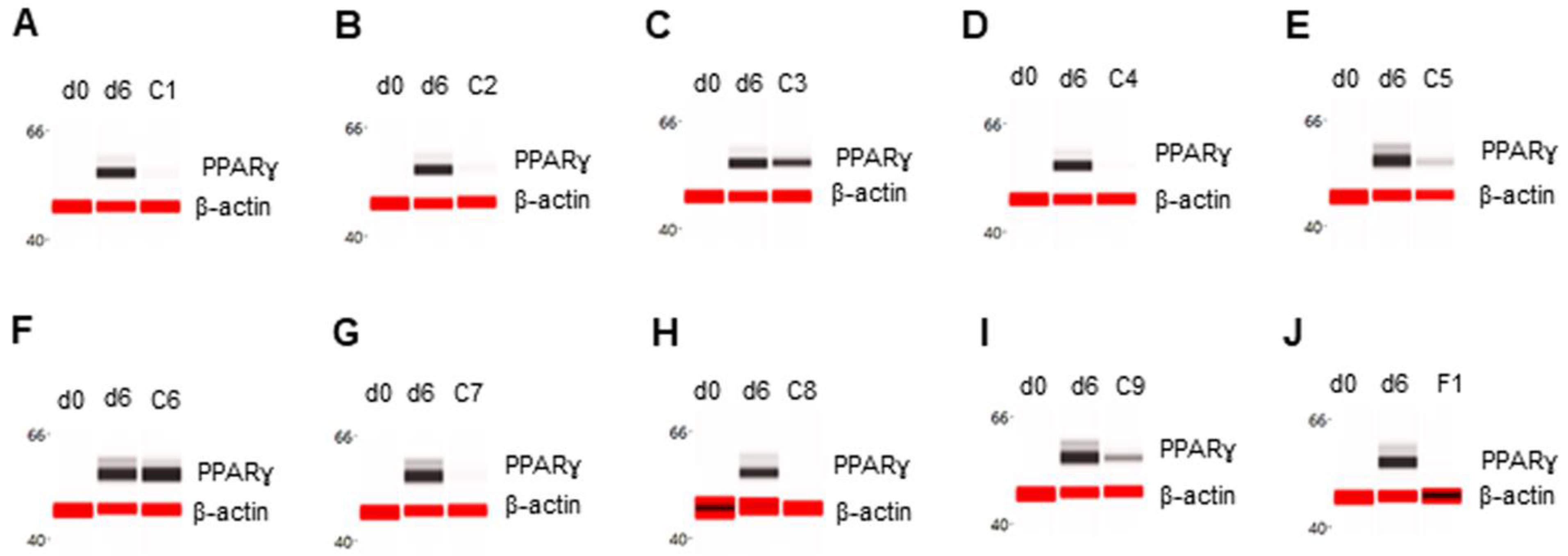 Nutrients 14 04325 g001 Nutrients 14 04325 g001