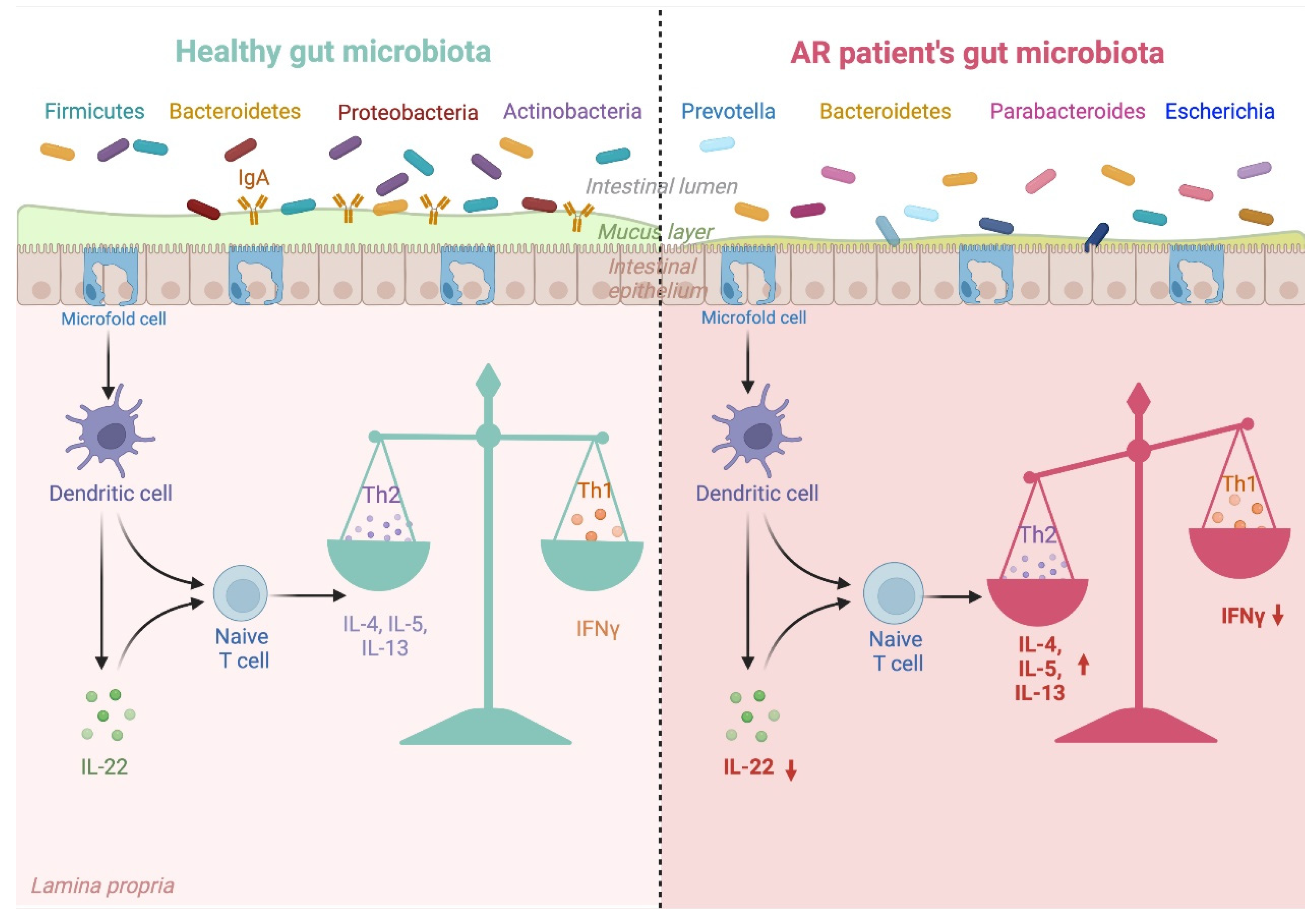 Nutrients 14 04328 g002 Nutrients 14 04328 g002