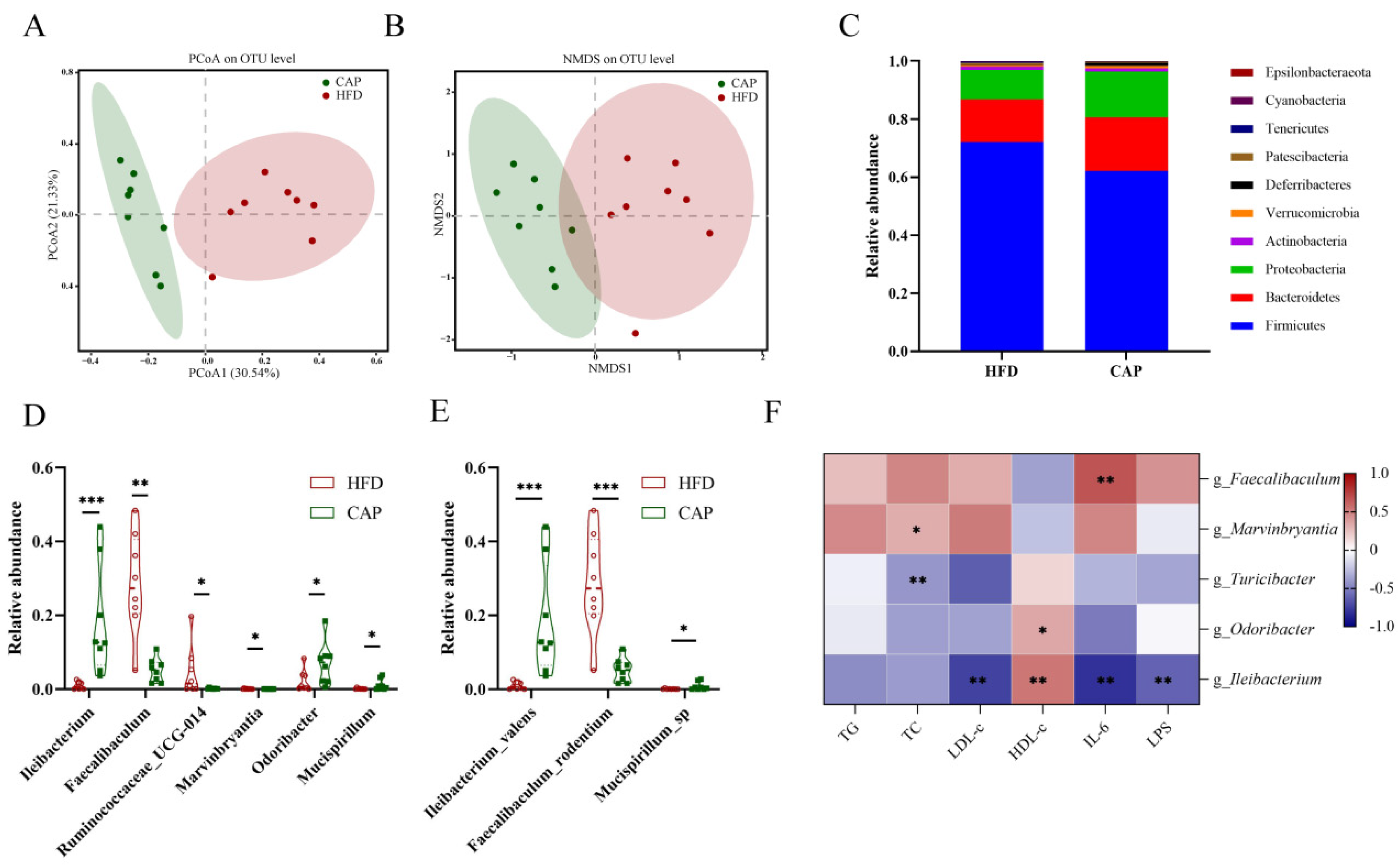 Nutrients 14 04334 g004 Nutrients 14 04334 g004