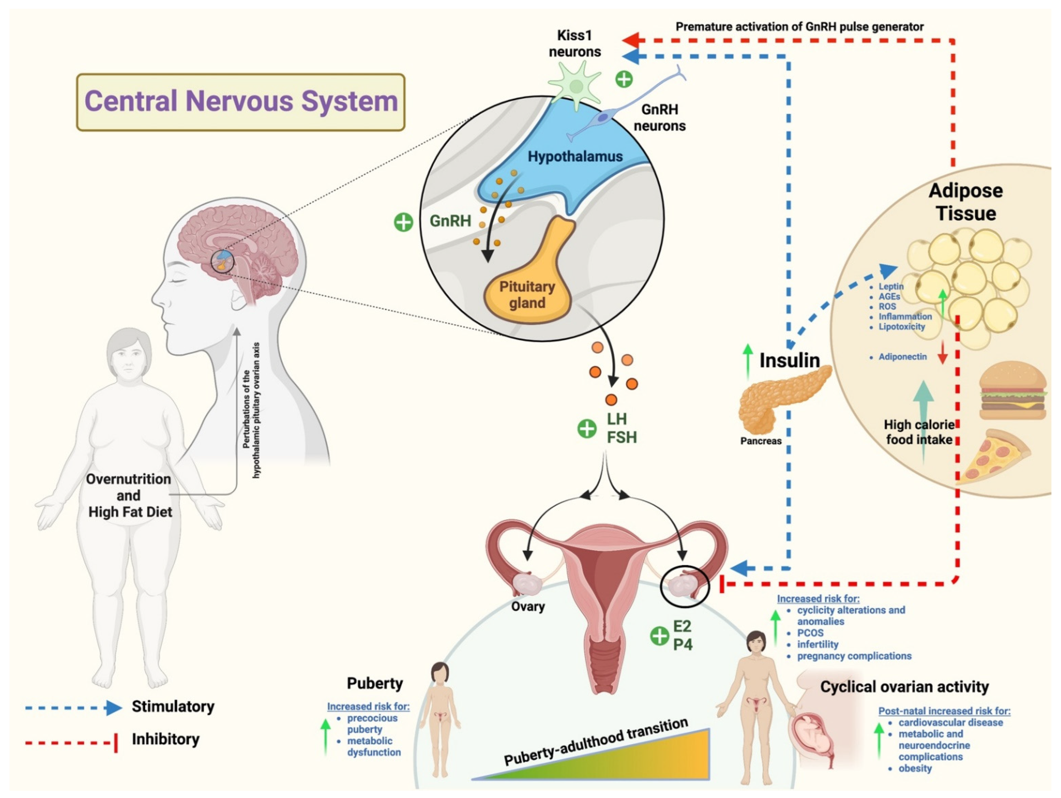Nutrients 14 04341 g002 Nutrients 14 04341 g002