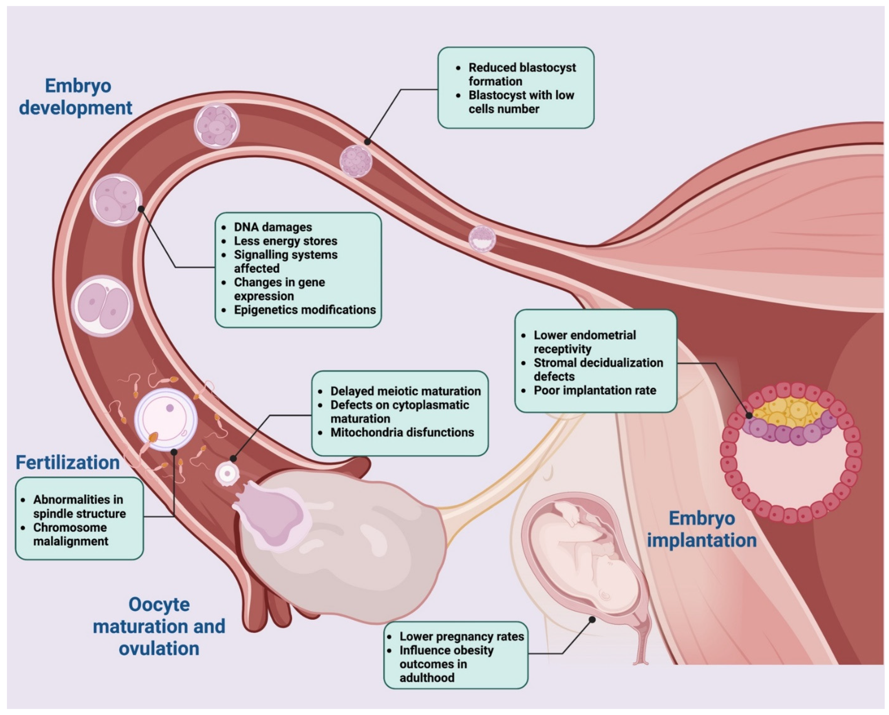 Nutrients 14 04341 g004 Nutrients 14 04341 g004