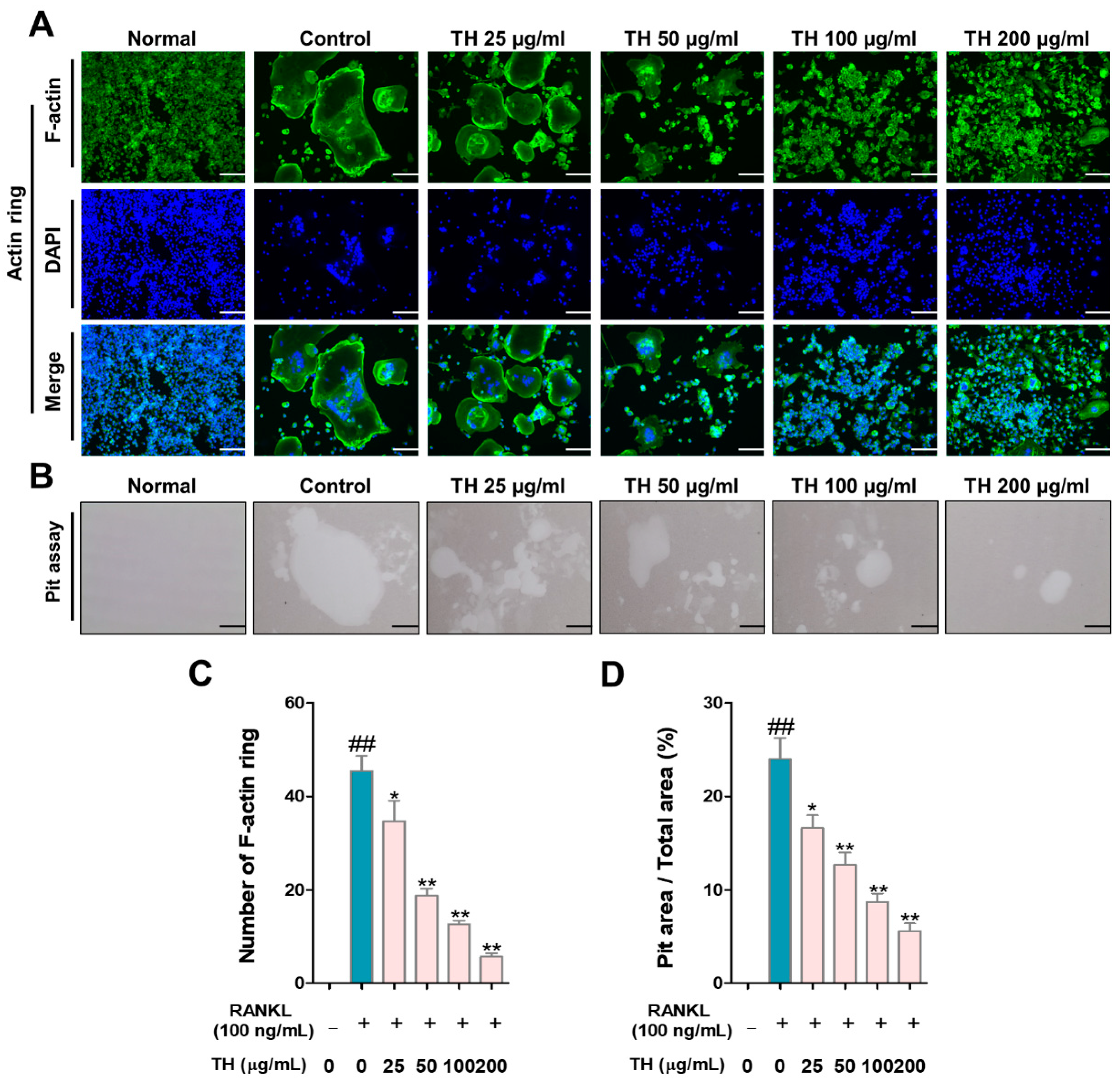 Nutrients 14 04354 g003