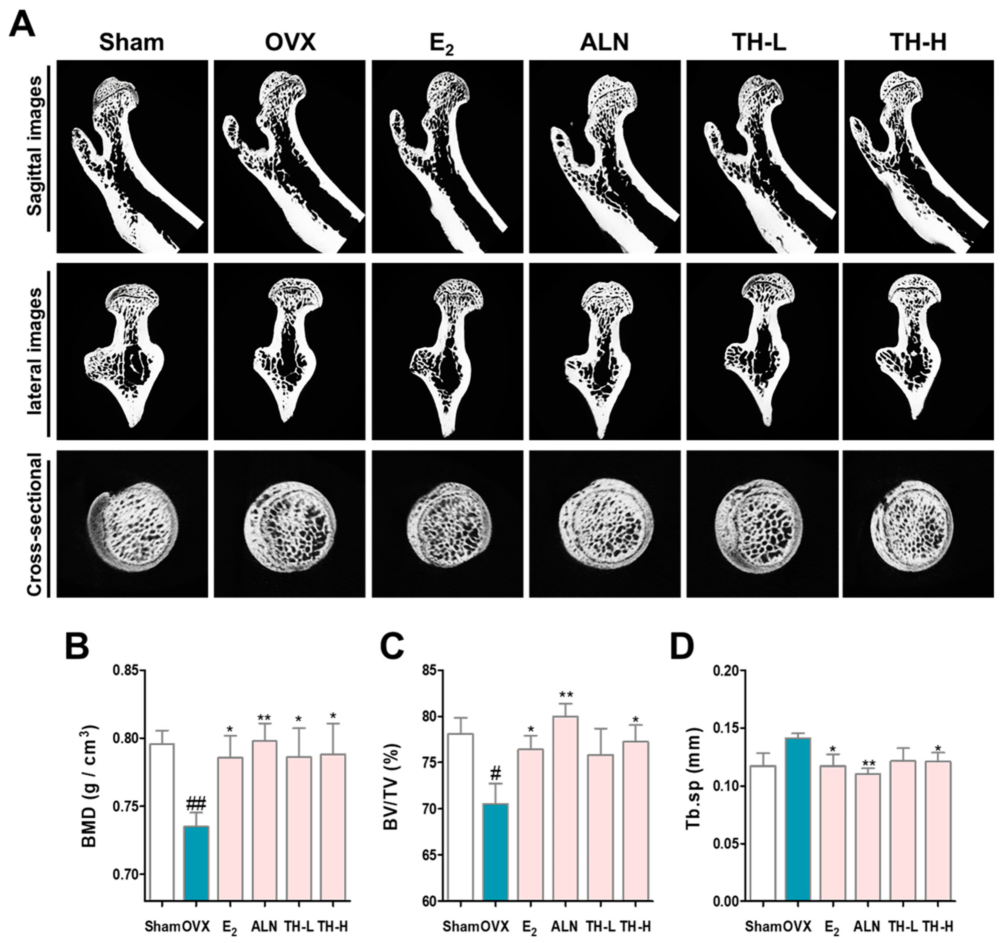 Nutrients 14 04354 g007