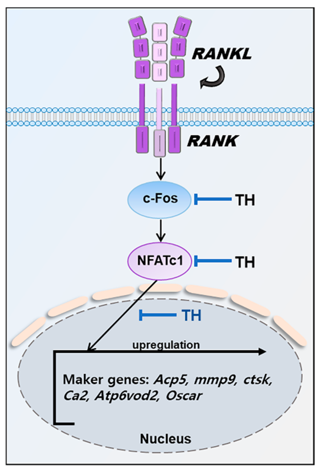 Nutrients 14 04354 g009