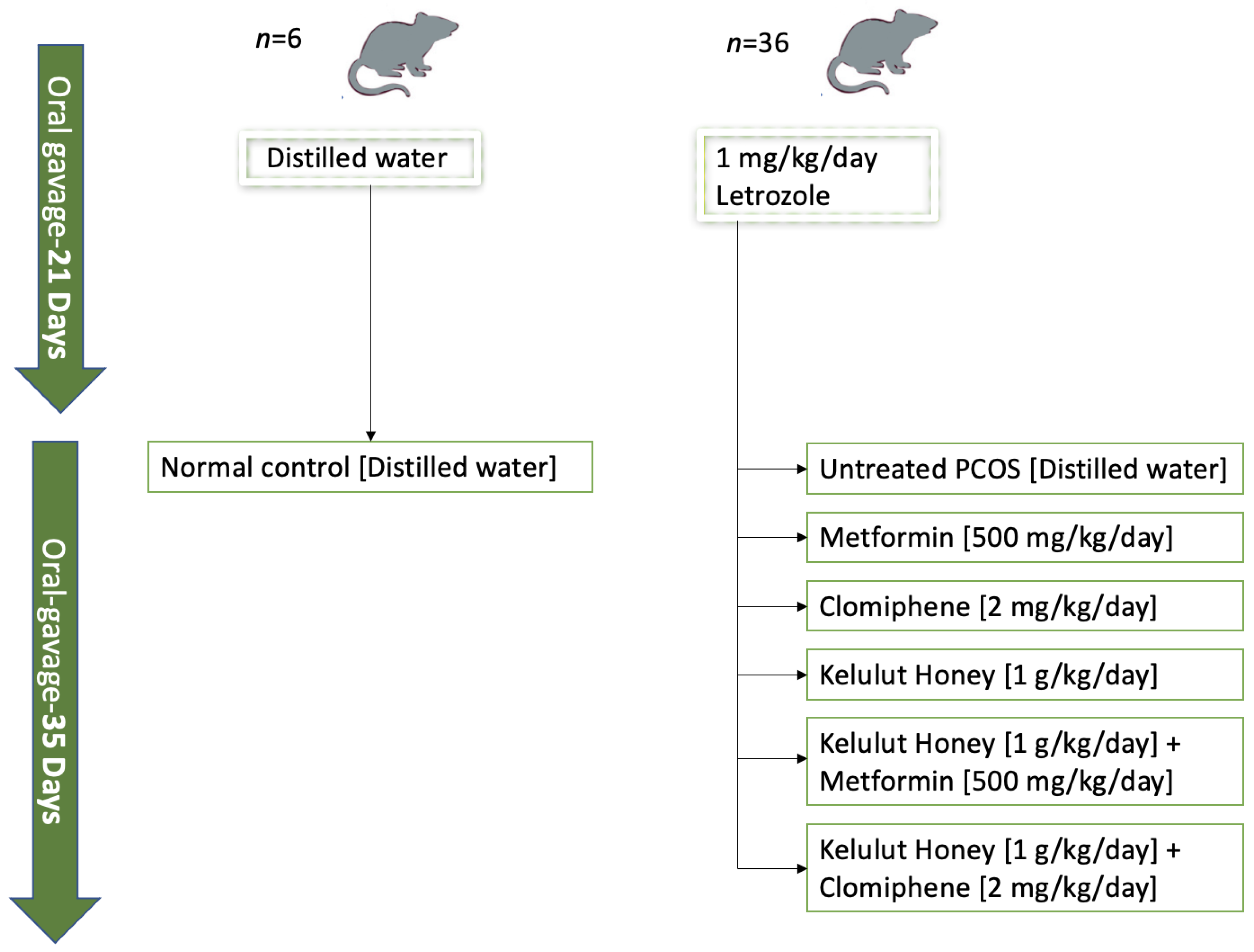 Nutrients 14 04364 g001 Nutrients 14 04364 g001