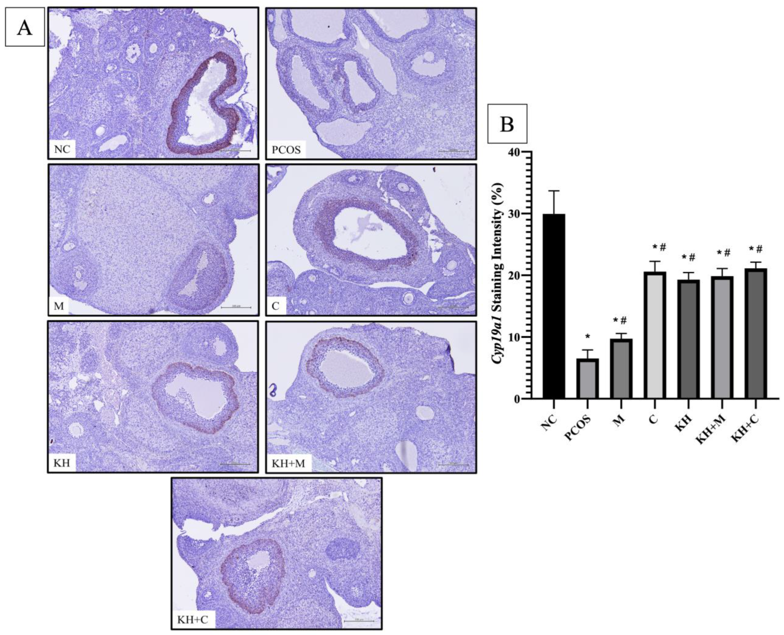 Nutrients 14 04364 g006 Nutrients 14 04364 g006
