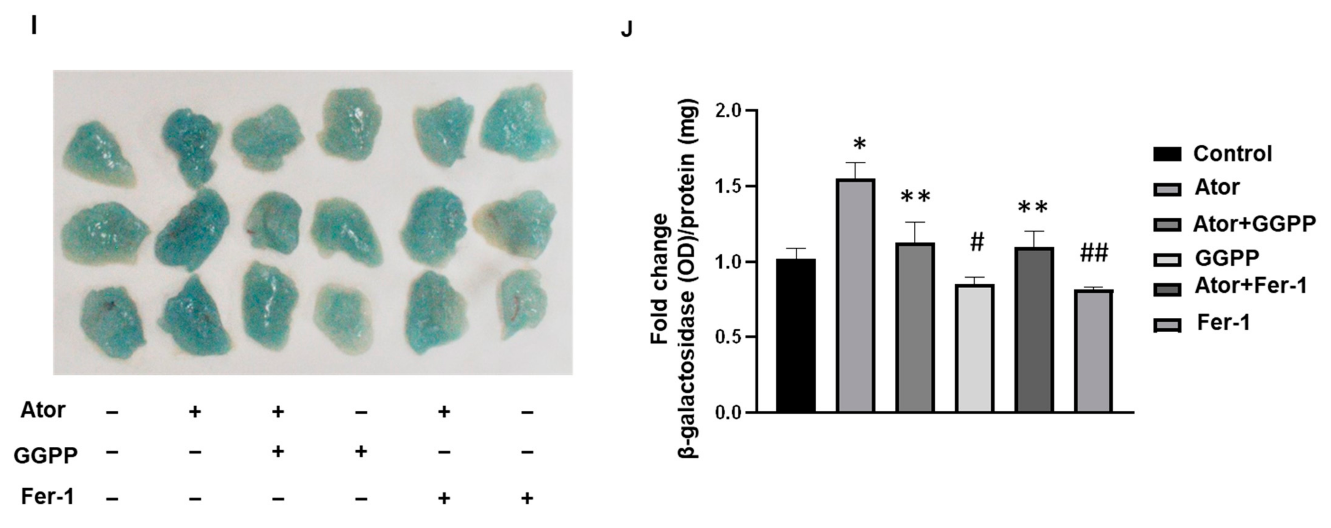 Nutrients 14 04365 g003b Nutrients 14 04365 g003b