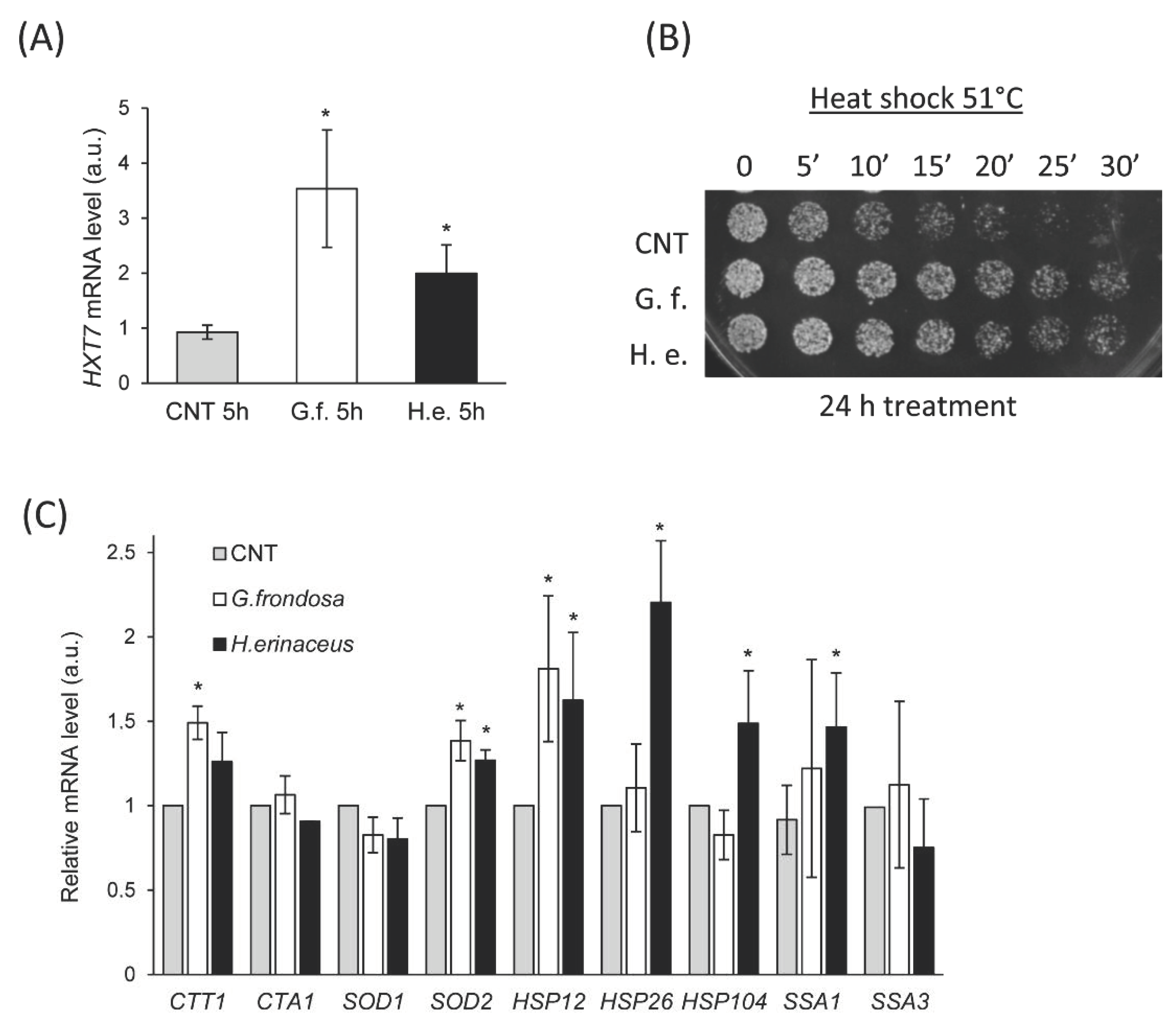 Nutrients 14 04368 g004 Nutrients 14 04368 g004