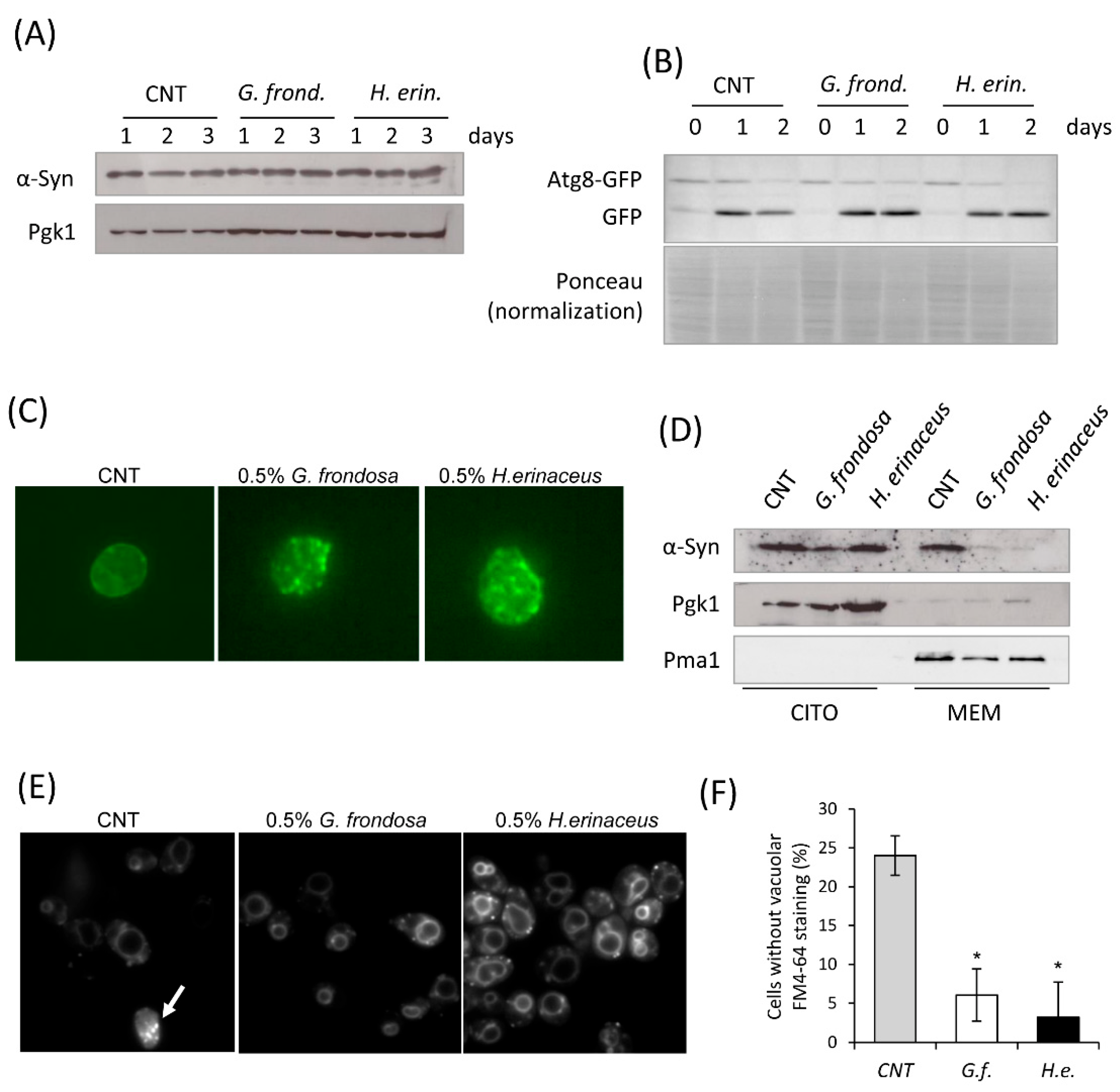 Nutrients 14 04368 g006 Nutrients 14 04368 g006