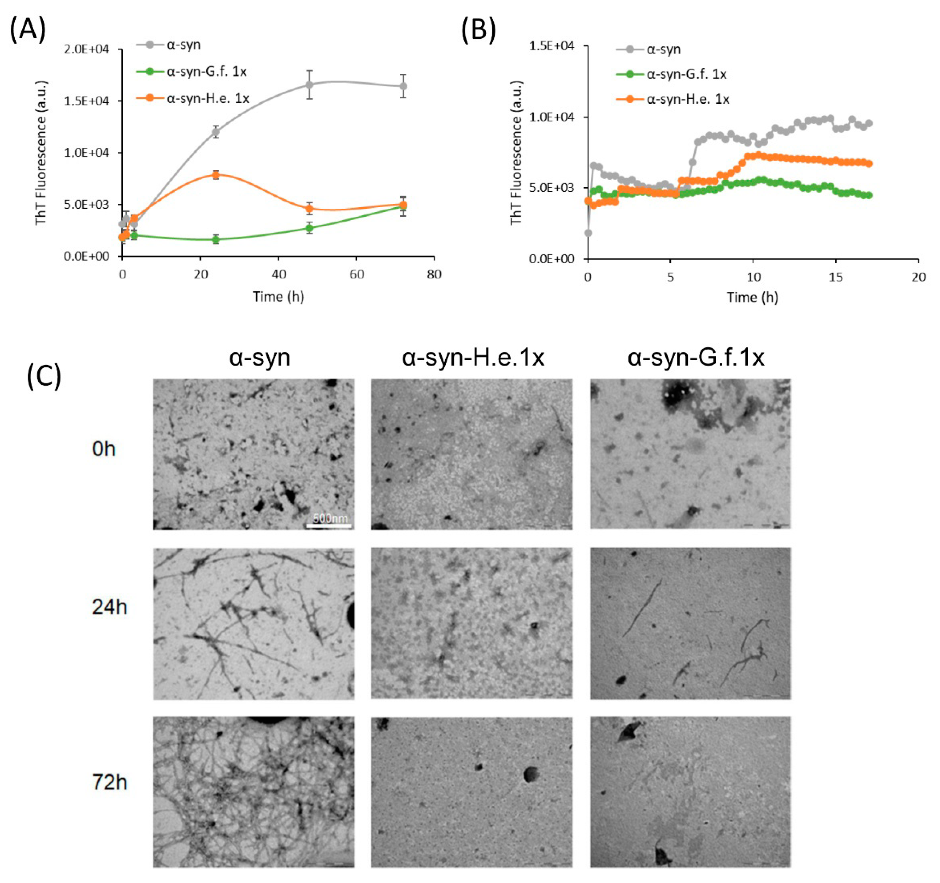 Nutrients 14 04368 g007 Nutrients 14 04368 g007
