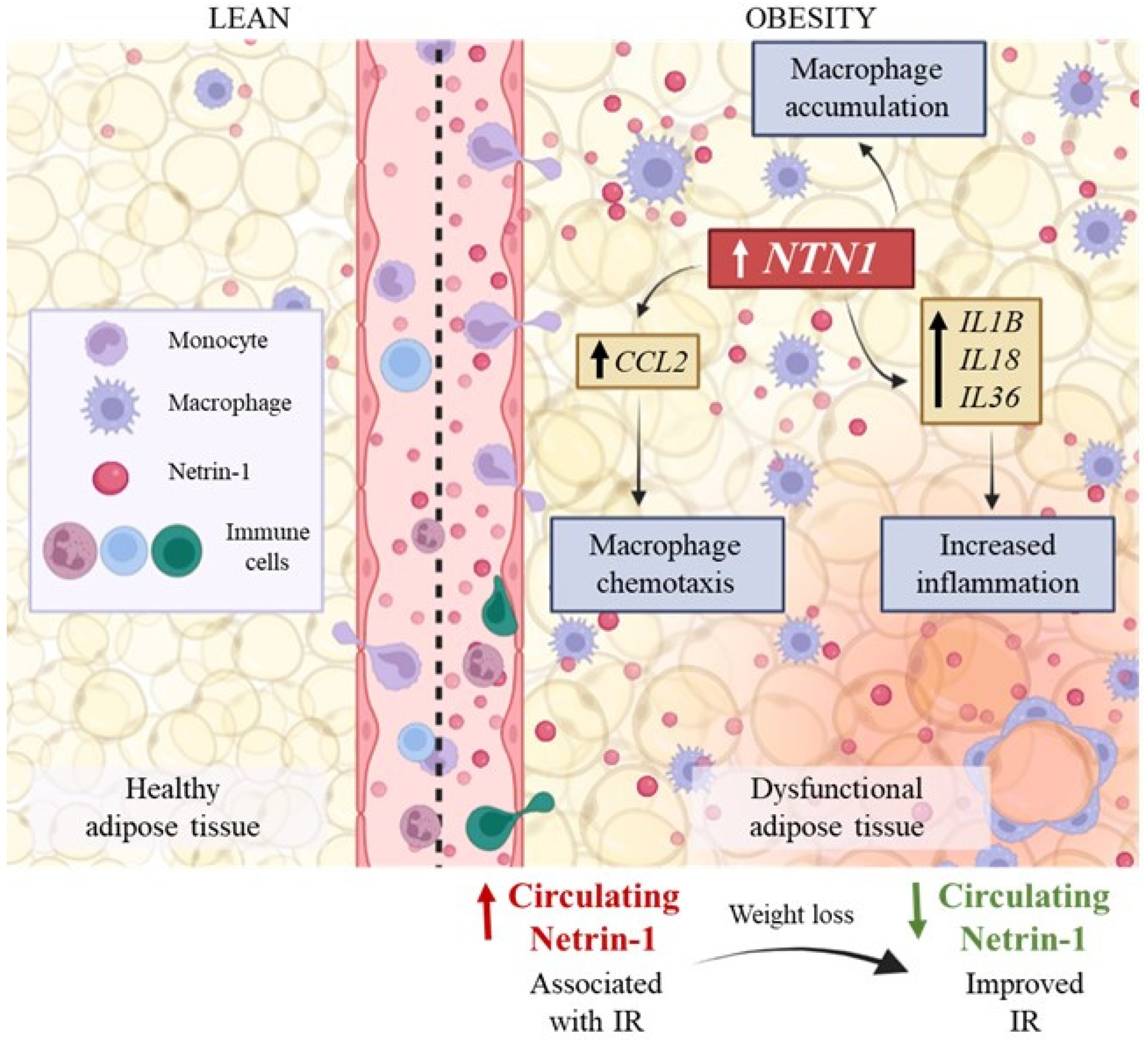 Nutrients 14 04372 g006