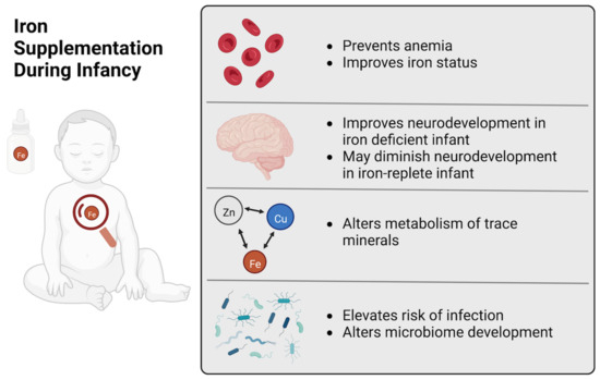 Nutrients | Free Full-Text | Benefits and Risks of Early Life Iron ...
