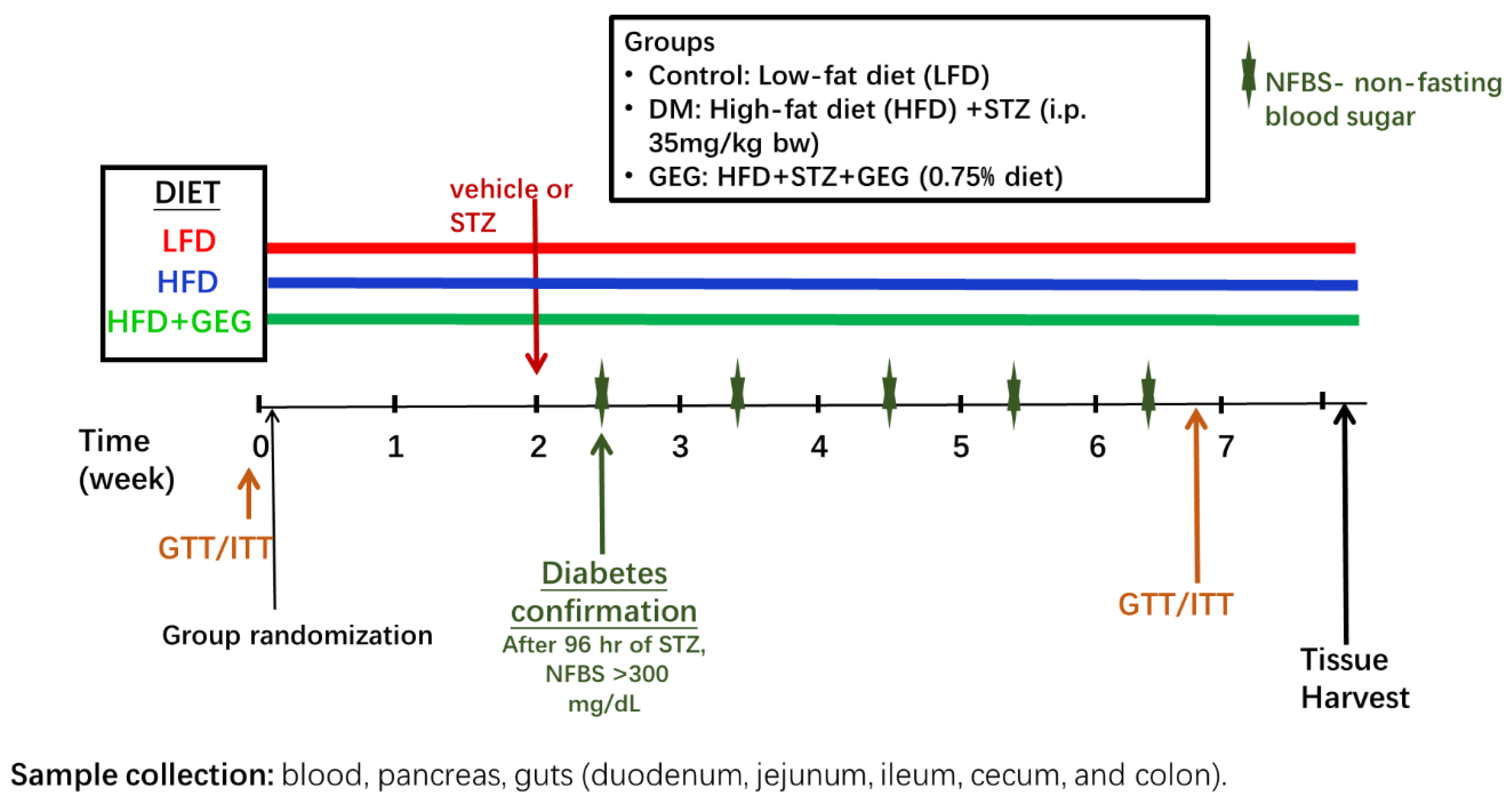 Nutrients 14 04384 g001 Nutrients 14 04384 g001