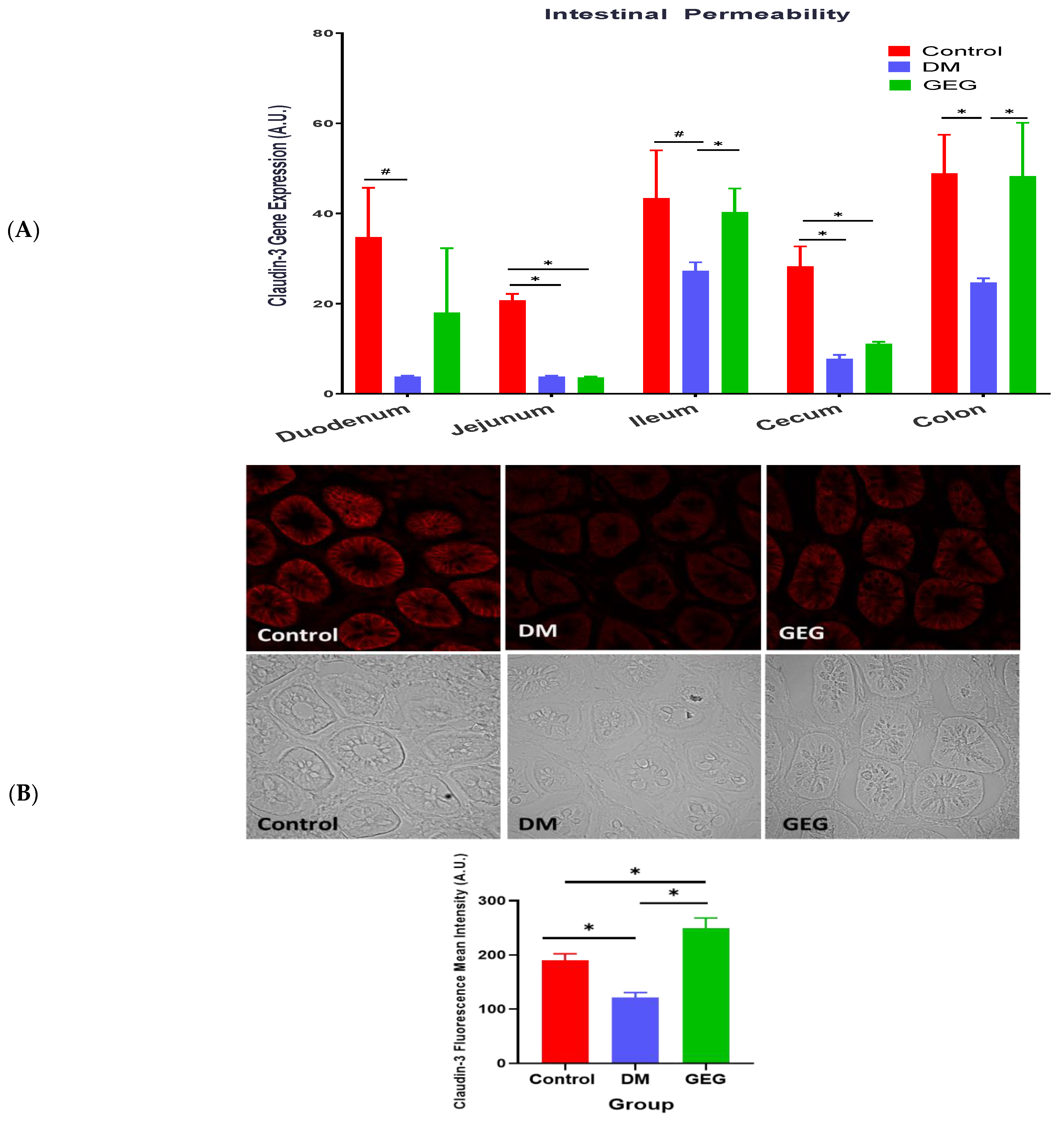 Nutrients 14 04384 g005 Nutrients 14 04384 g005