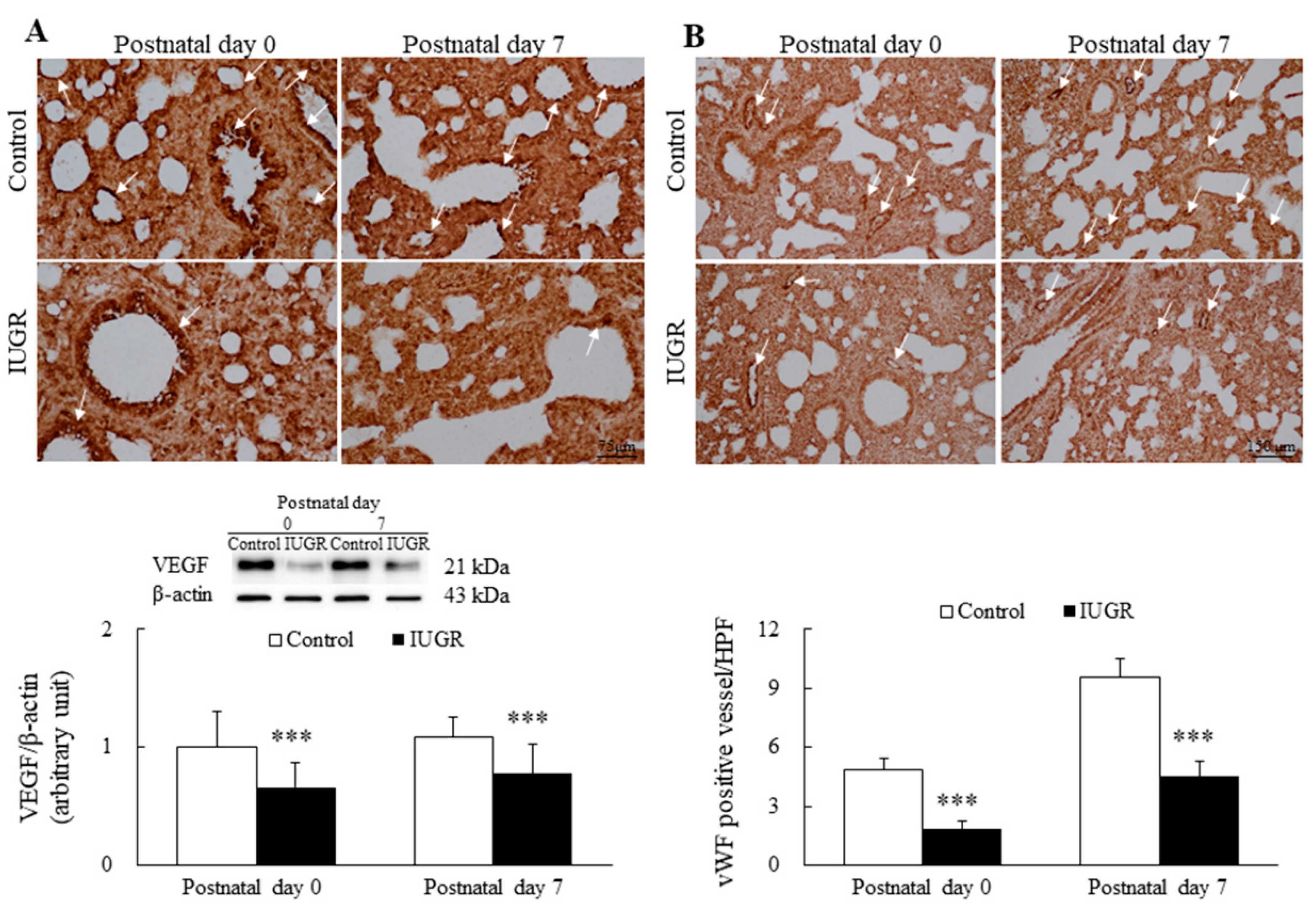 Nutrients 14 04388 g002 Nutrients 14 04388 g002