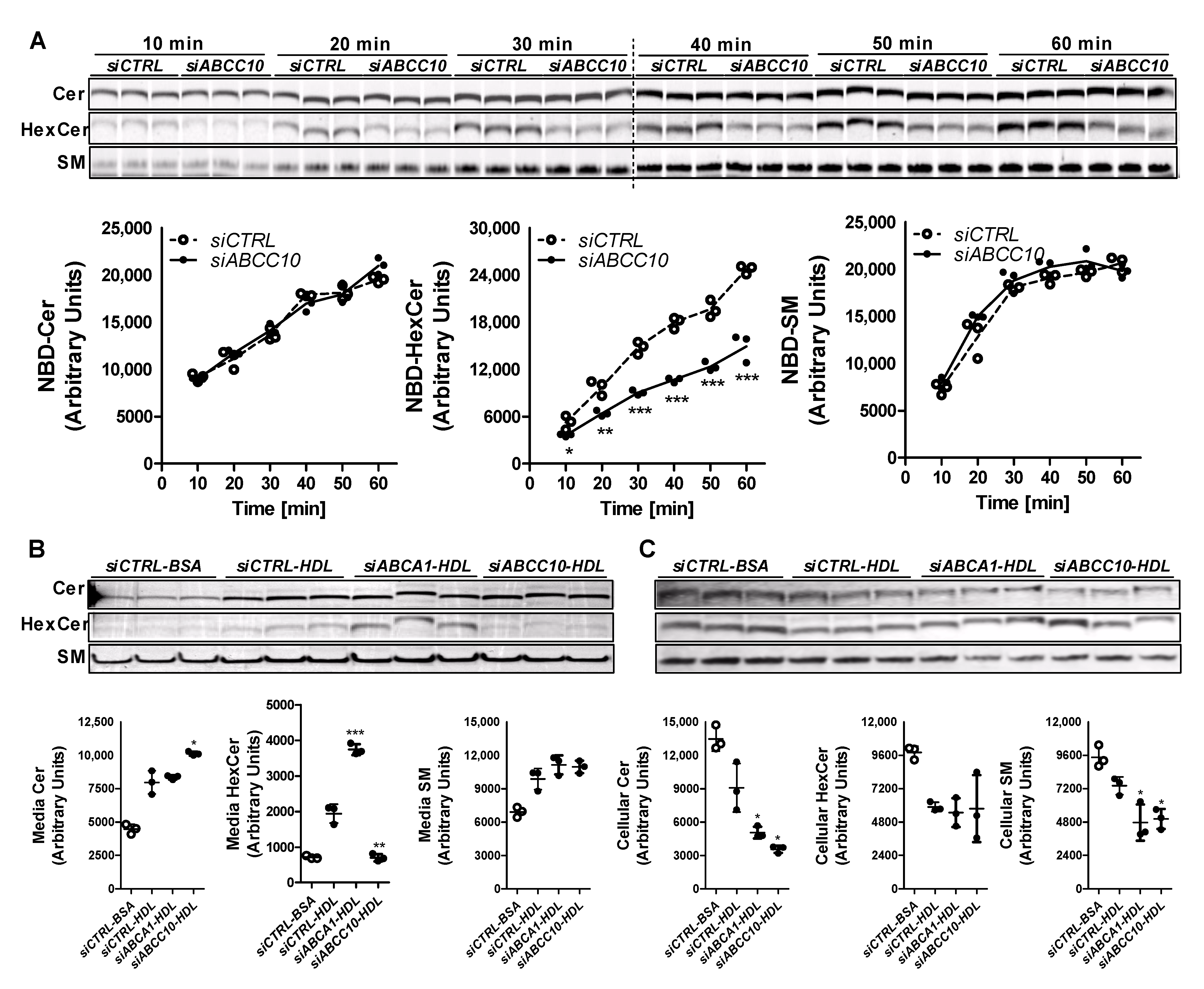 Nutrients 14 04401 g004 Nutrients 14 04401 g004