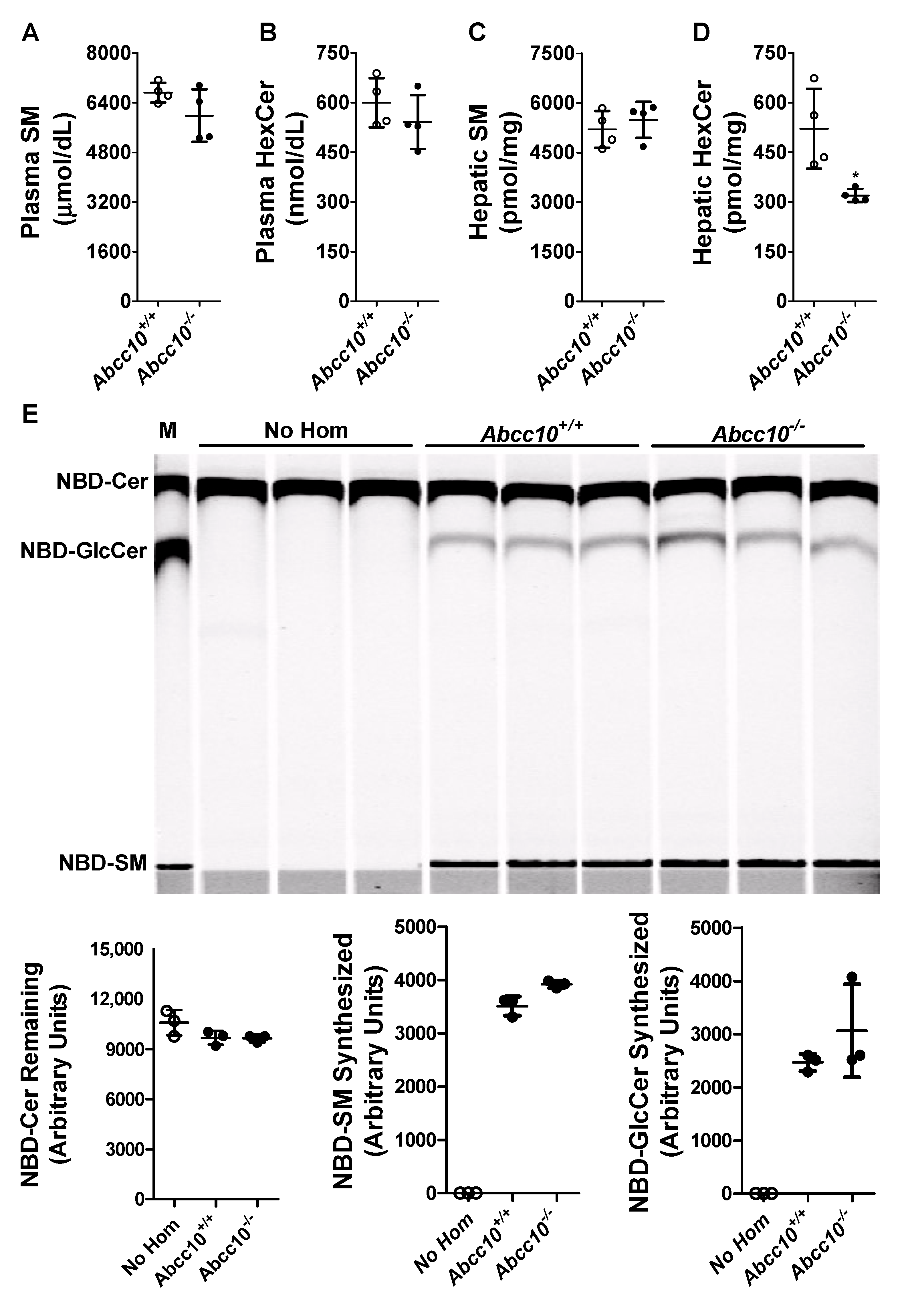 Nutrients 14 04401 g005 Nutrients 14 04401 g005
