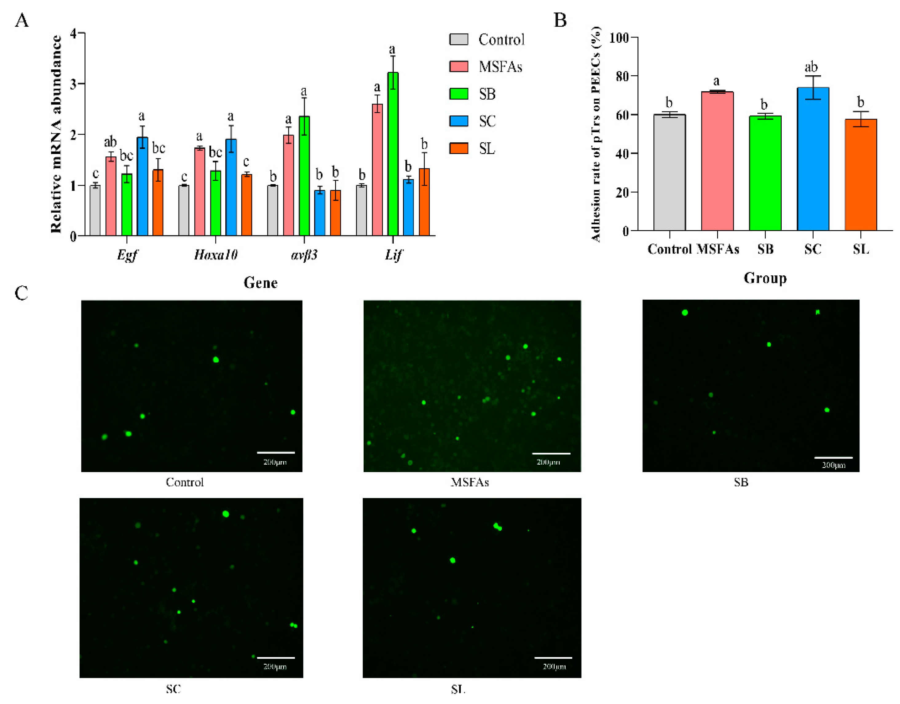 Nutrients 14 04405 g002 Nutrients 14 04405 g002
