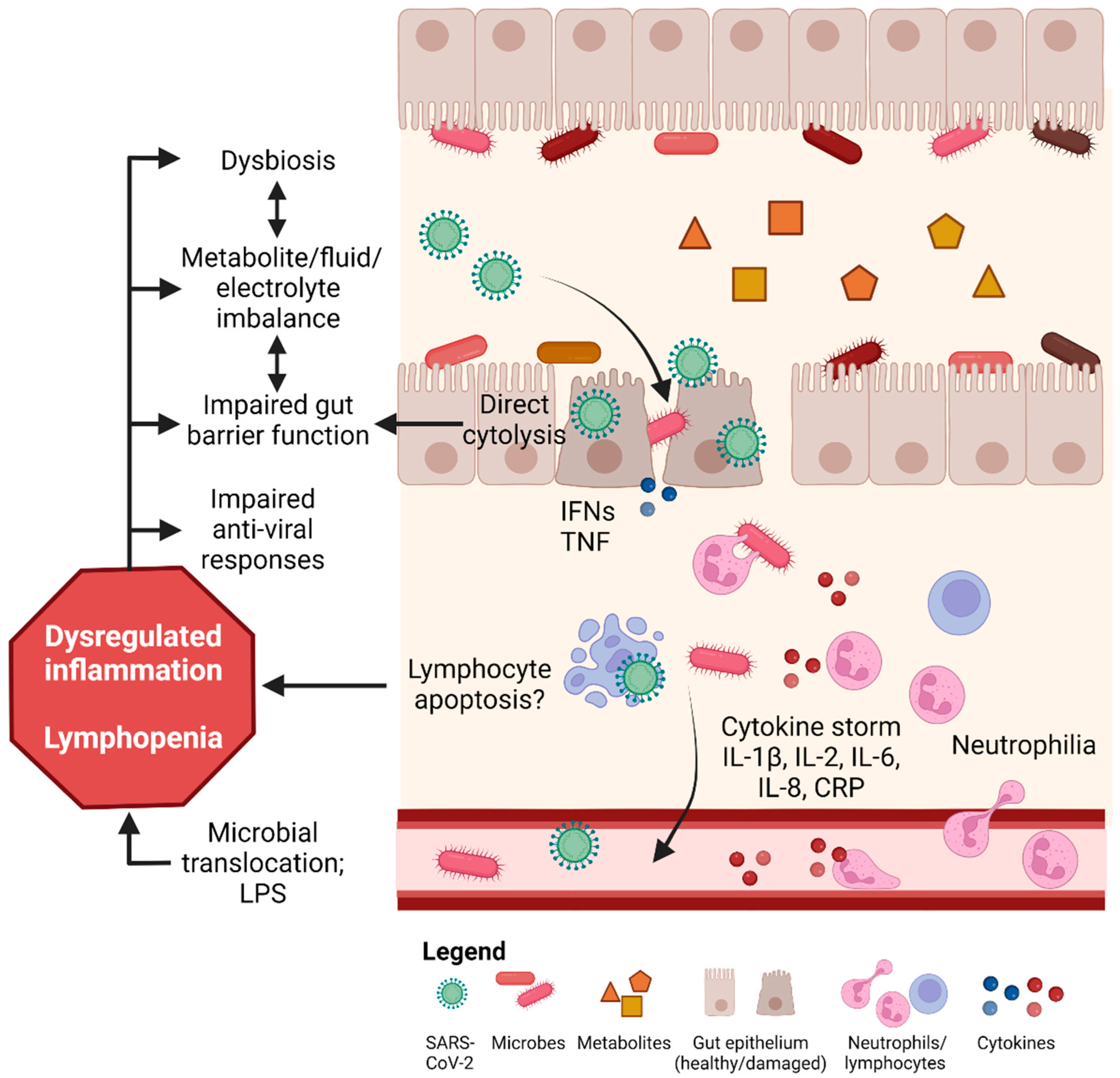 Nutrients 14 04409 g002 Nutrients 14 04409 g002