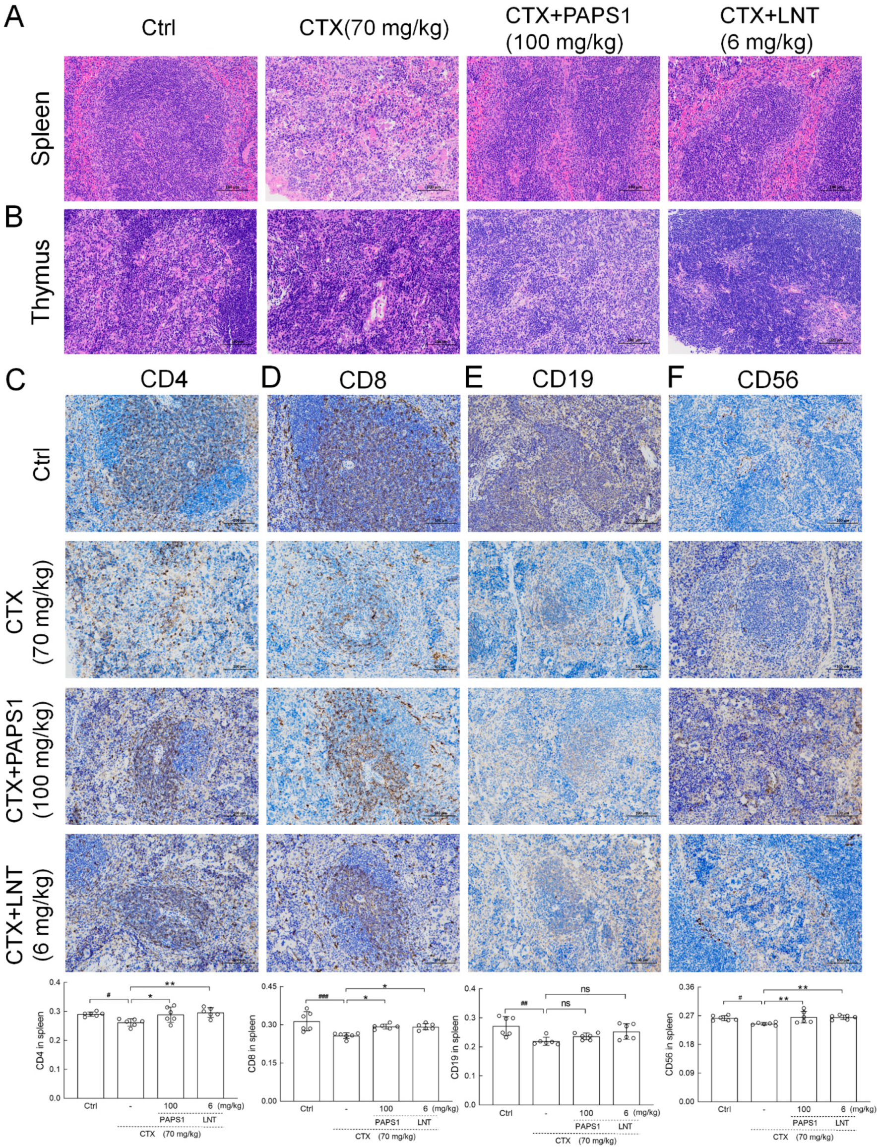 Nutrients 14 04410 g003 Nutrients 14 04410 g003