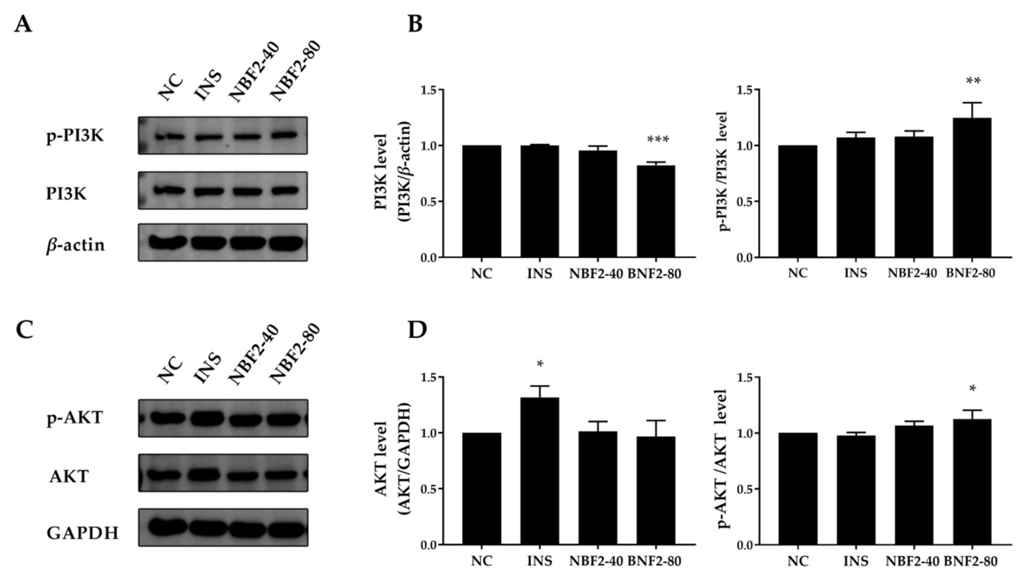 Nutrients 14 04413 g004 Nutrients 14 04413 g004
