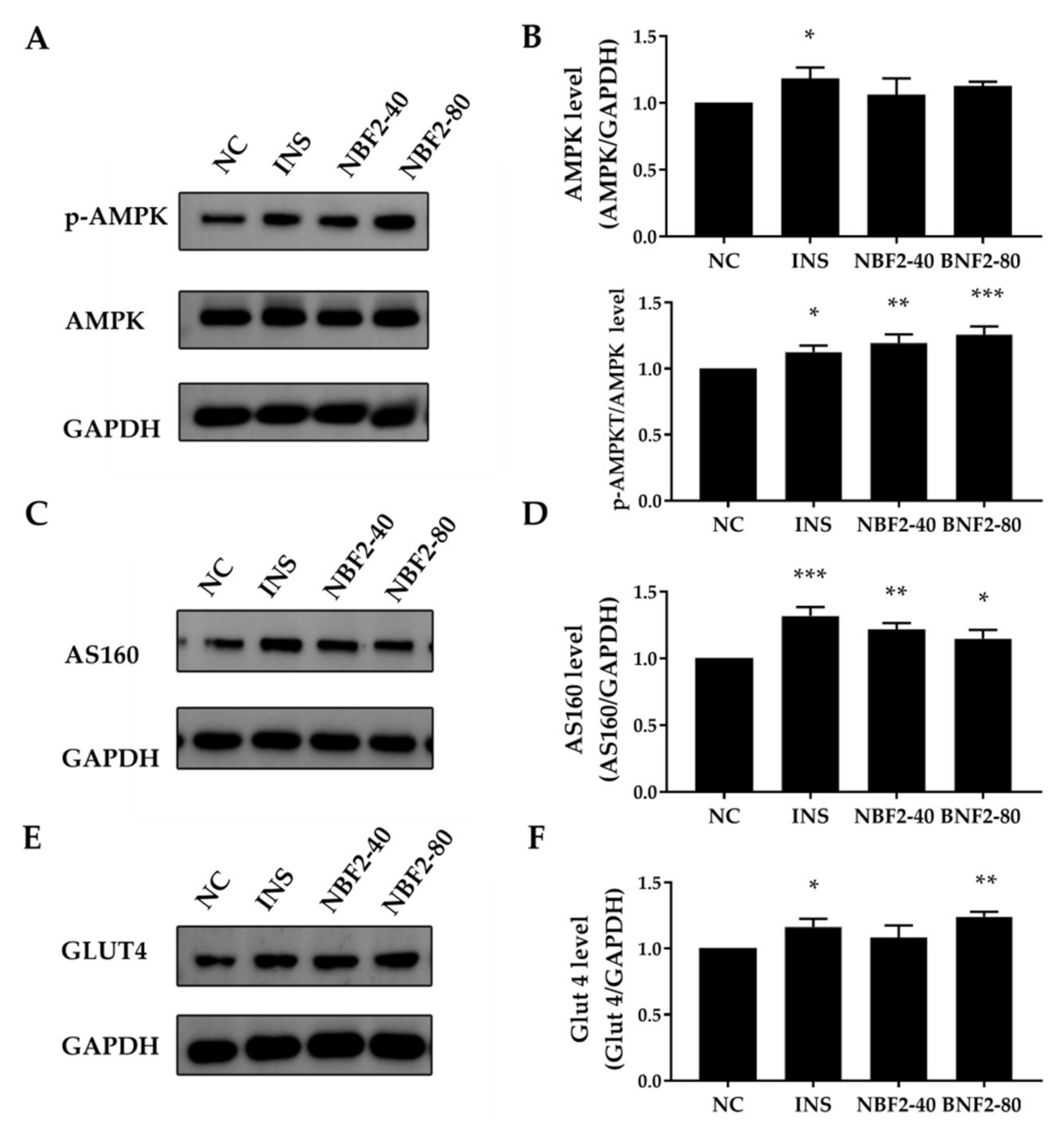 Nutrients 14 04413 g005 Nutrients 14 04413 g005