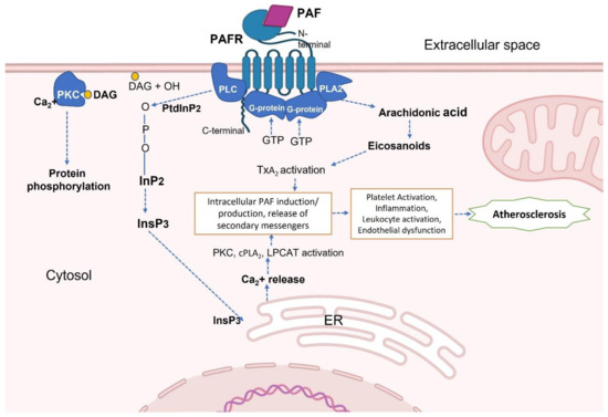 Infografía sobre juegos responsables
