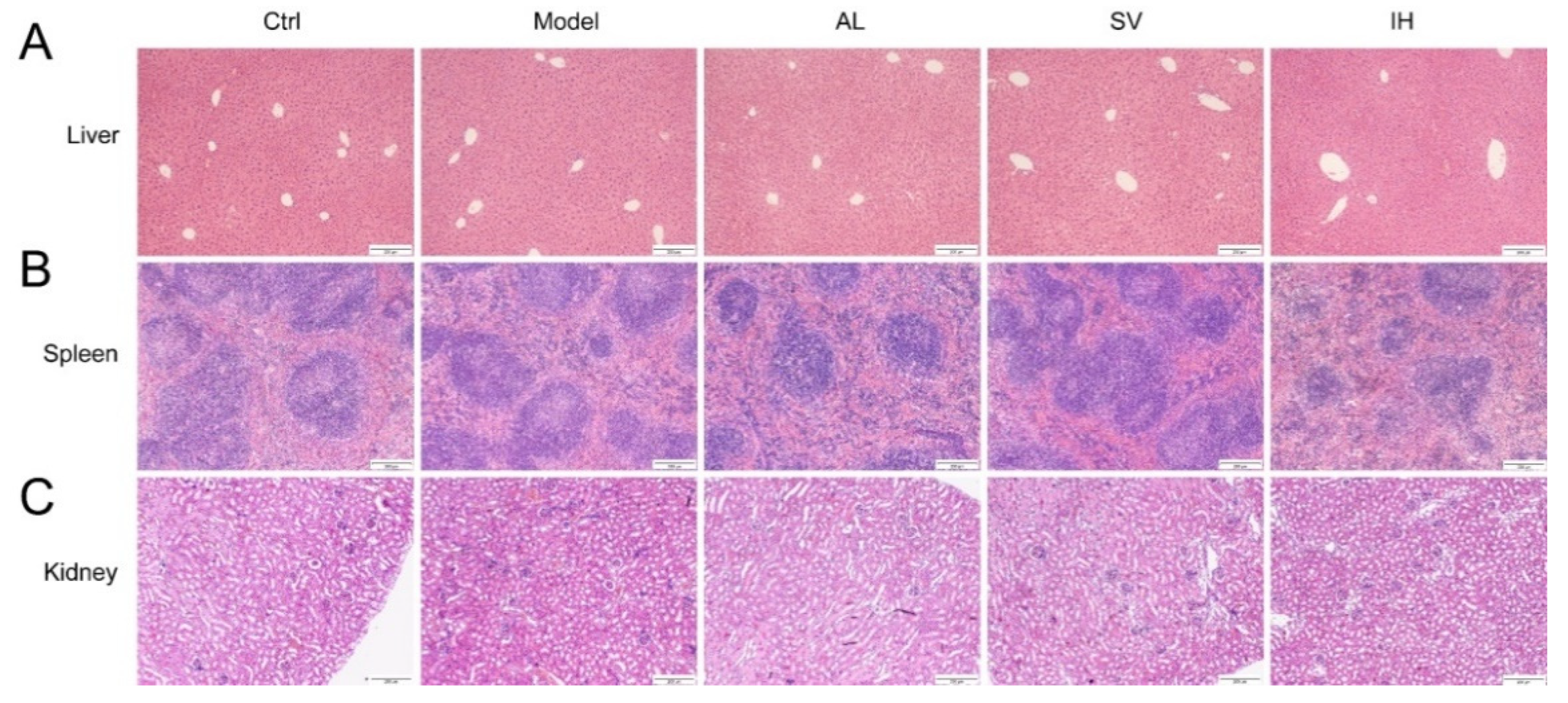 Nutrients 14 04421 g002 Nutrients 14 04421 g002