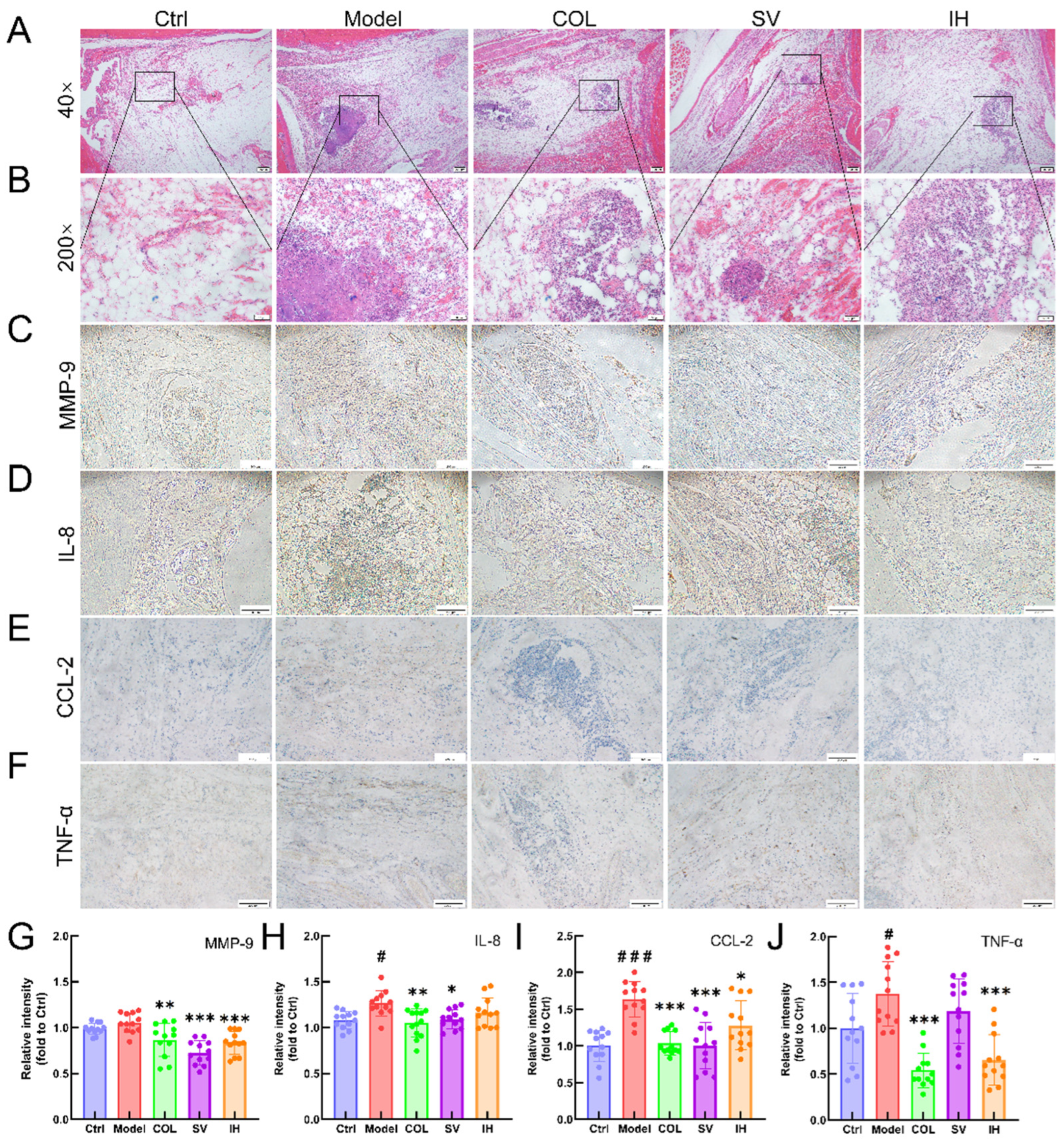 Nutrients 14 04421 g006 Nutrients 14 04421 g006