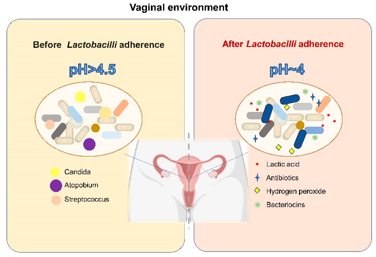 Nutrients 14 04466 g002