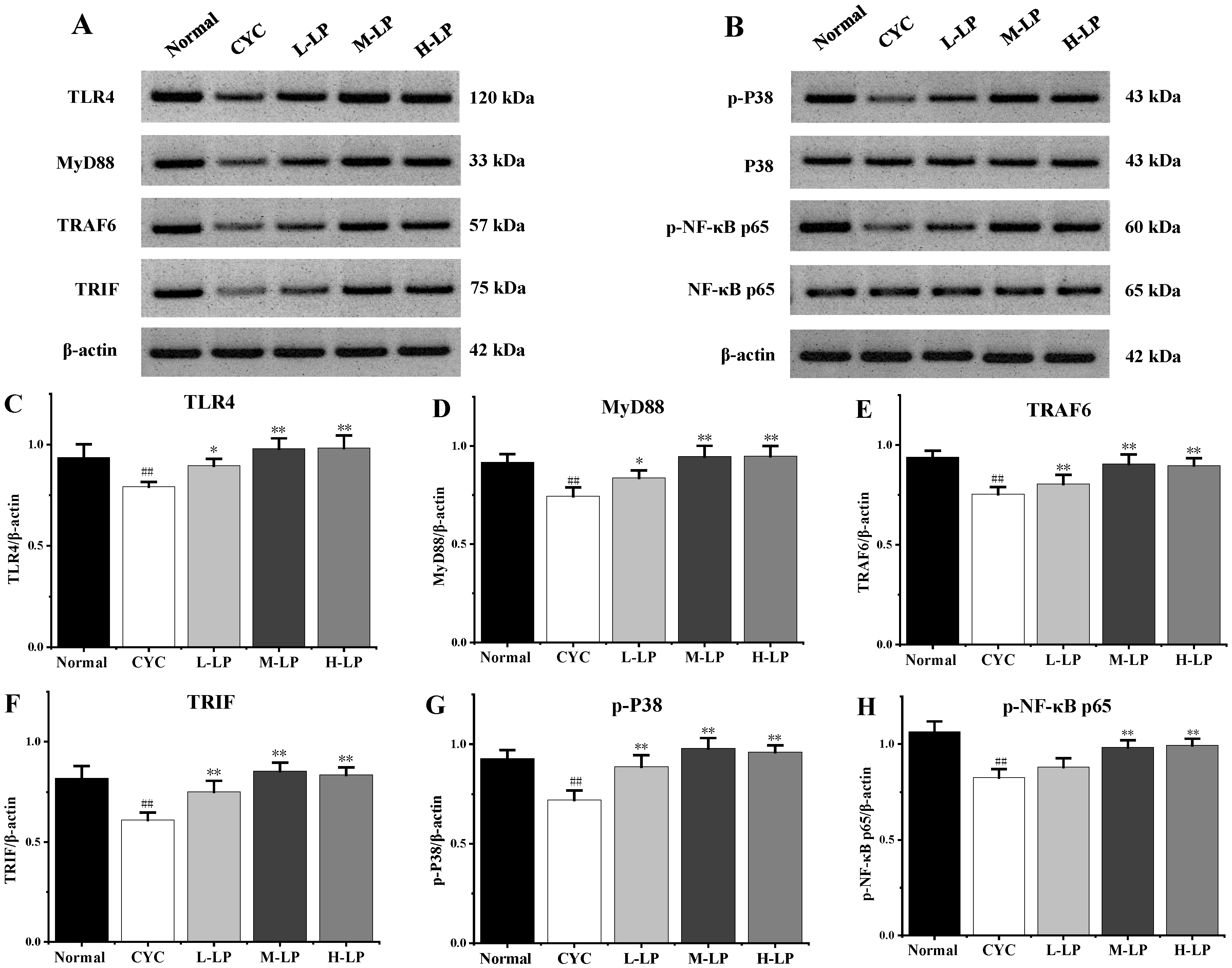 Nutrients 14 04467 g003 Nutrients 14 04467 g003