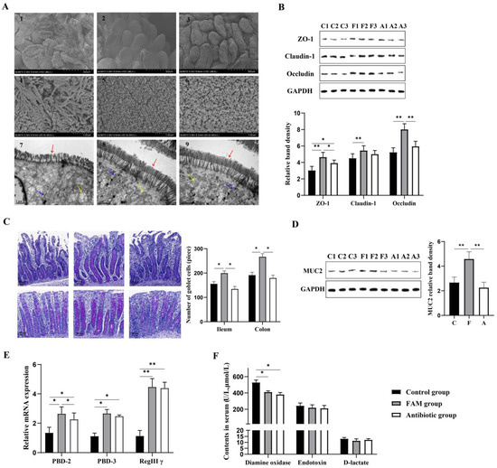 Nutrients 14 04475 g001 550